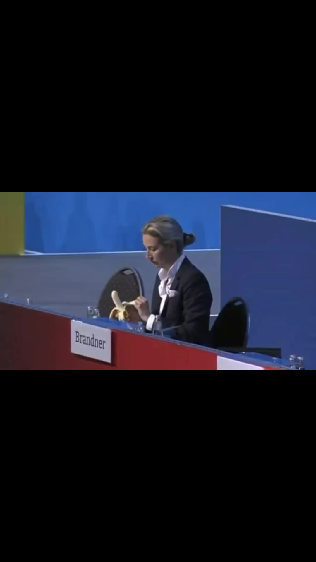 @AliceWeidel_afdfan4578
