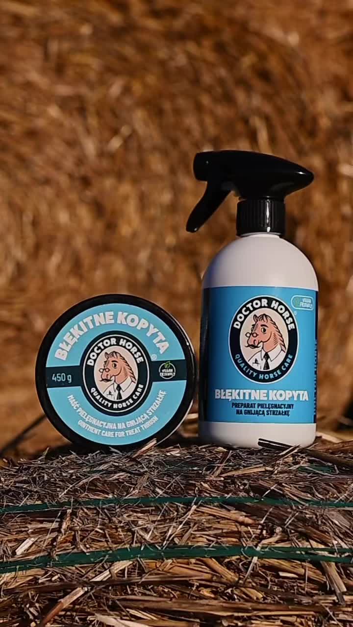@Doctor Horse