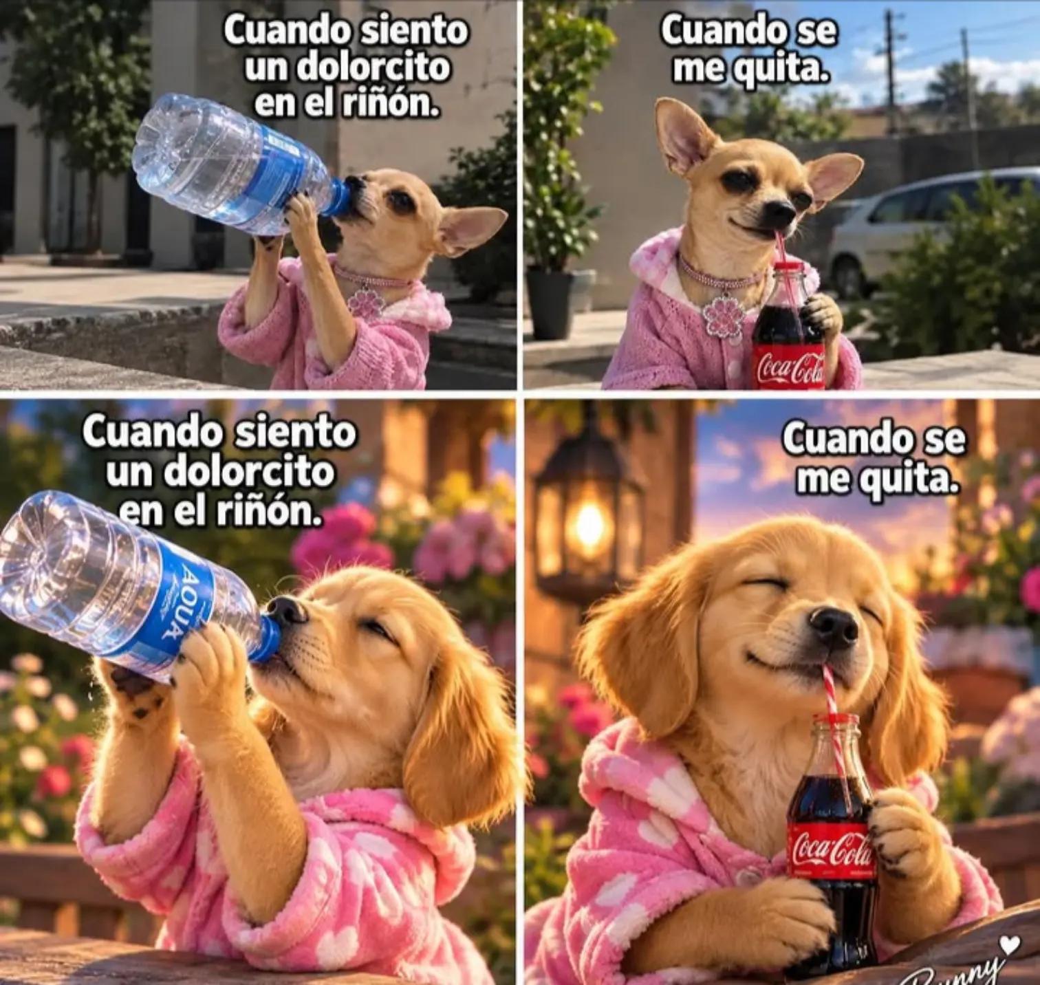 @Davmor