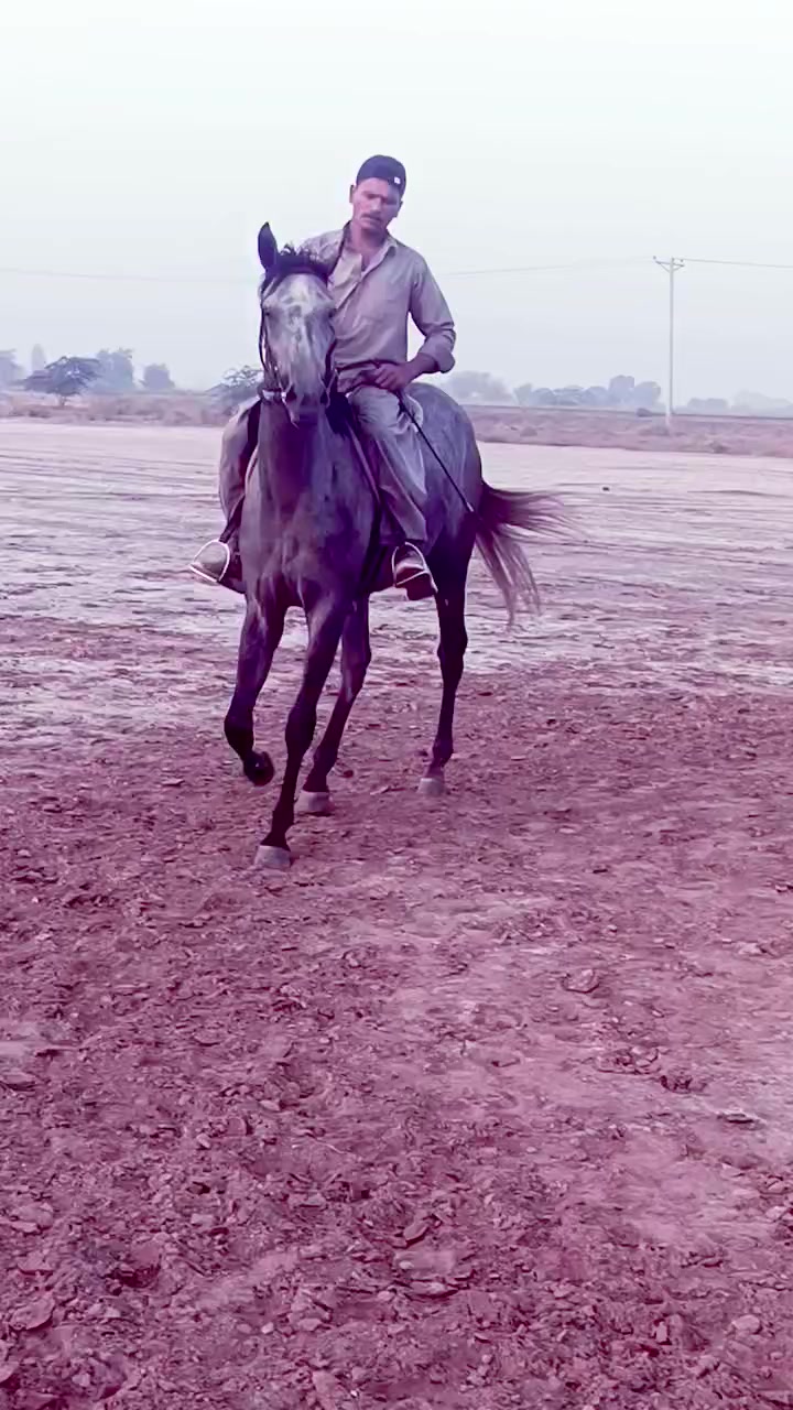@JB JAVED