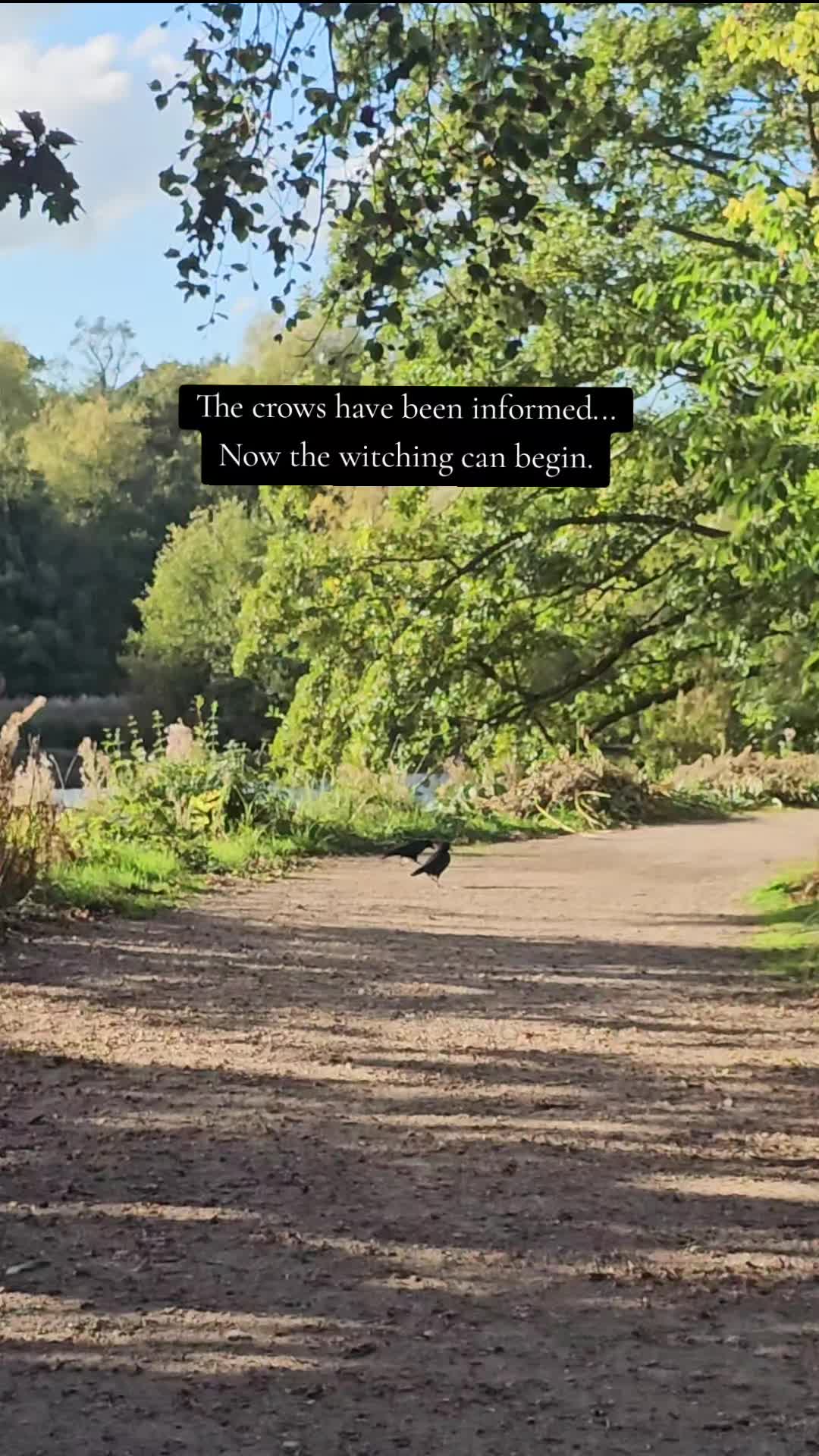 @modernwitchery444