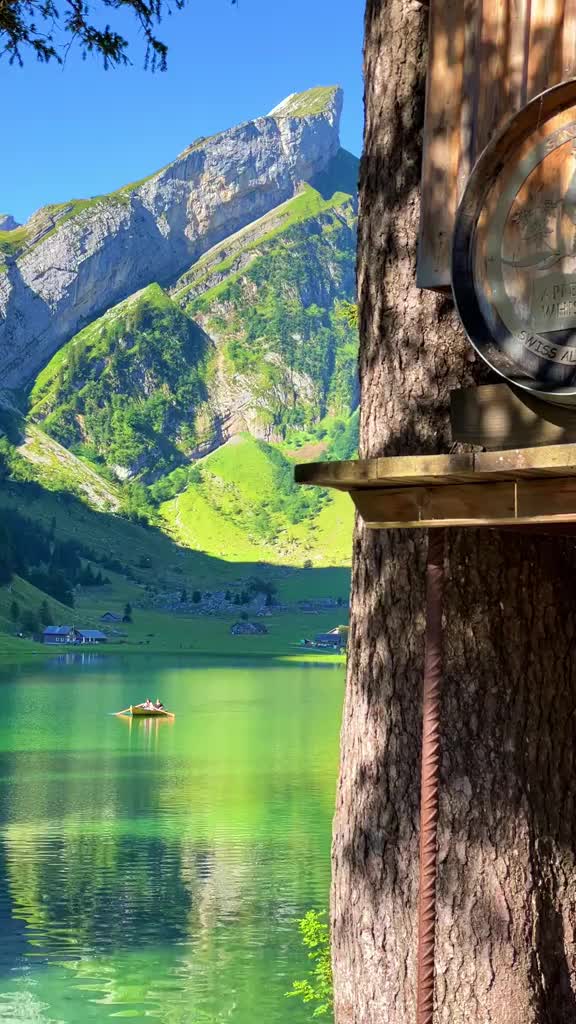 @zehara 🦋🦋🦋🦋