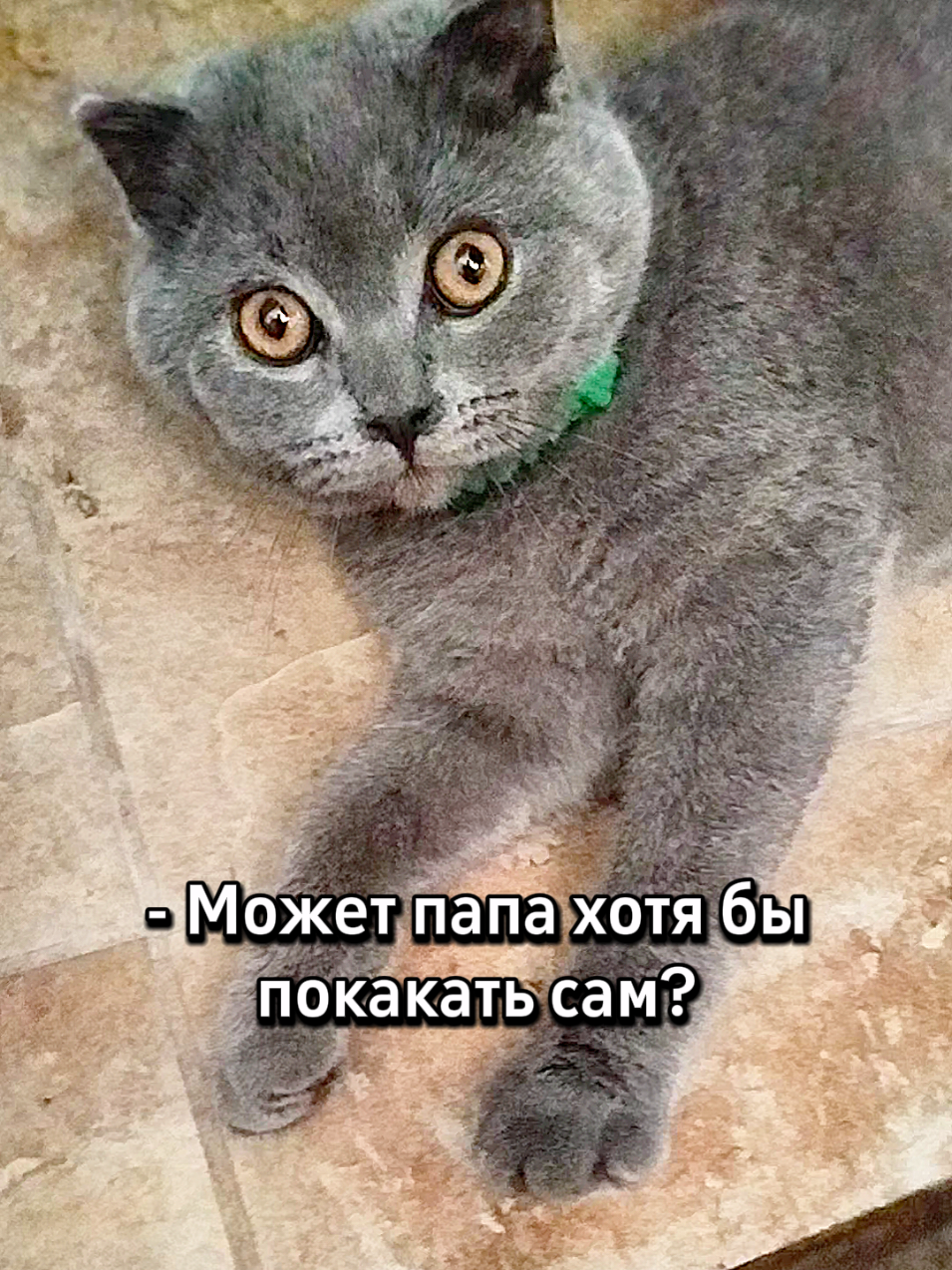 @😻Риччи&Джесси🐈Масик👼&Андрей