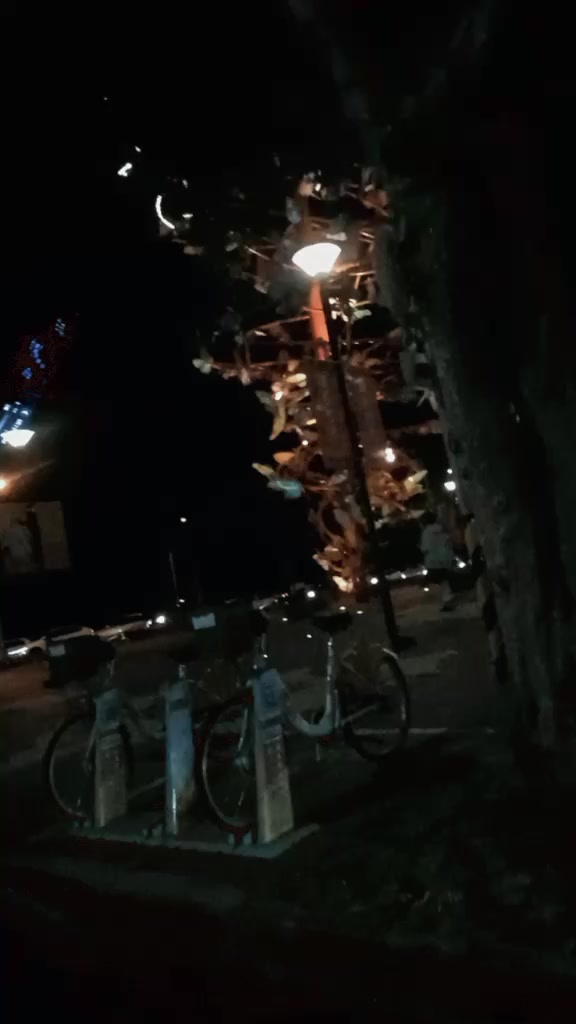 @yan