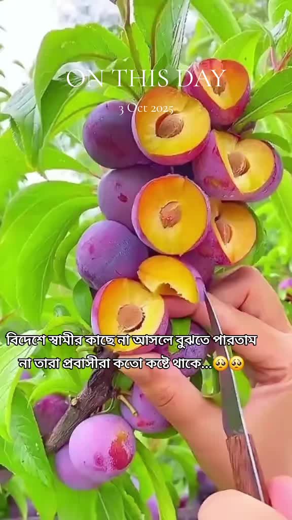 @🇧🇩Farjana🇸🇦