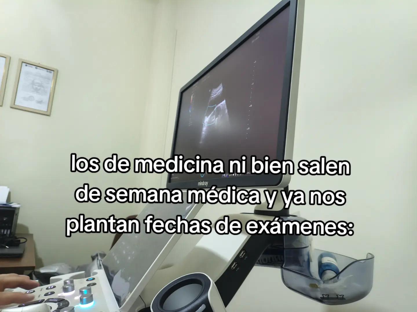 @Maite H Rojas