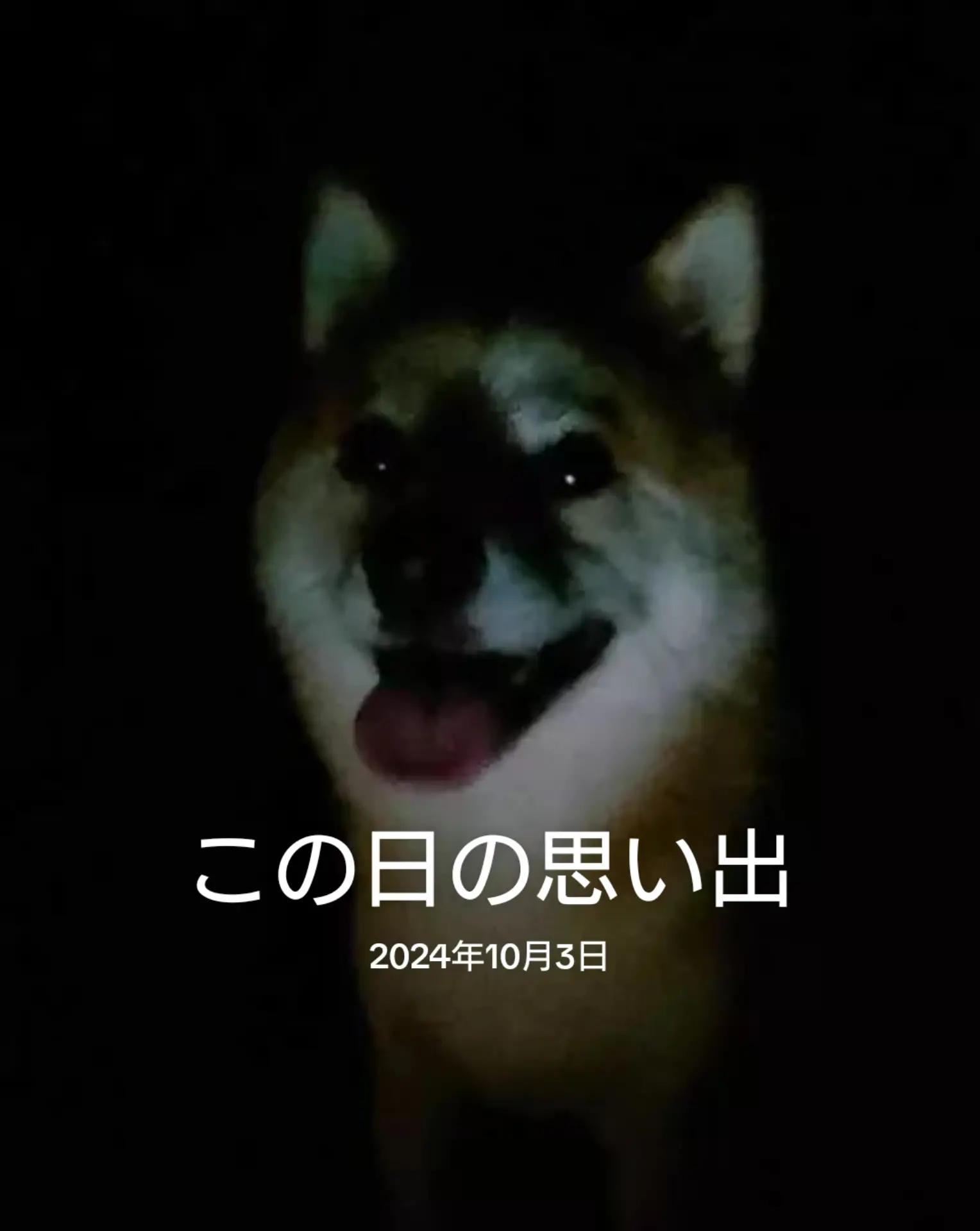 @尹の夕は。