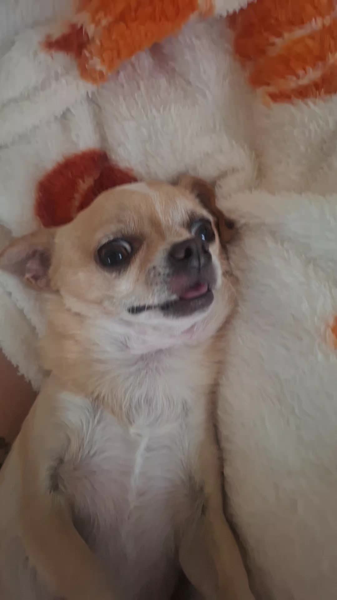 @๐๐๐
๐
๐
๐
๐
๐
๐
๐
