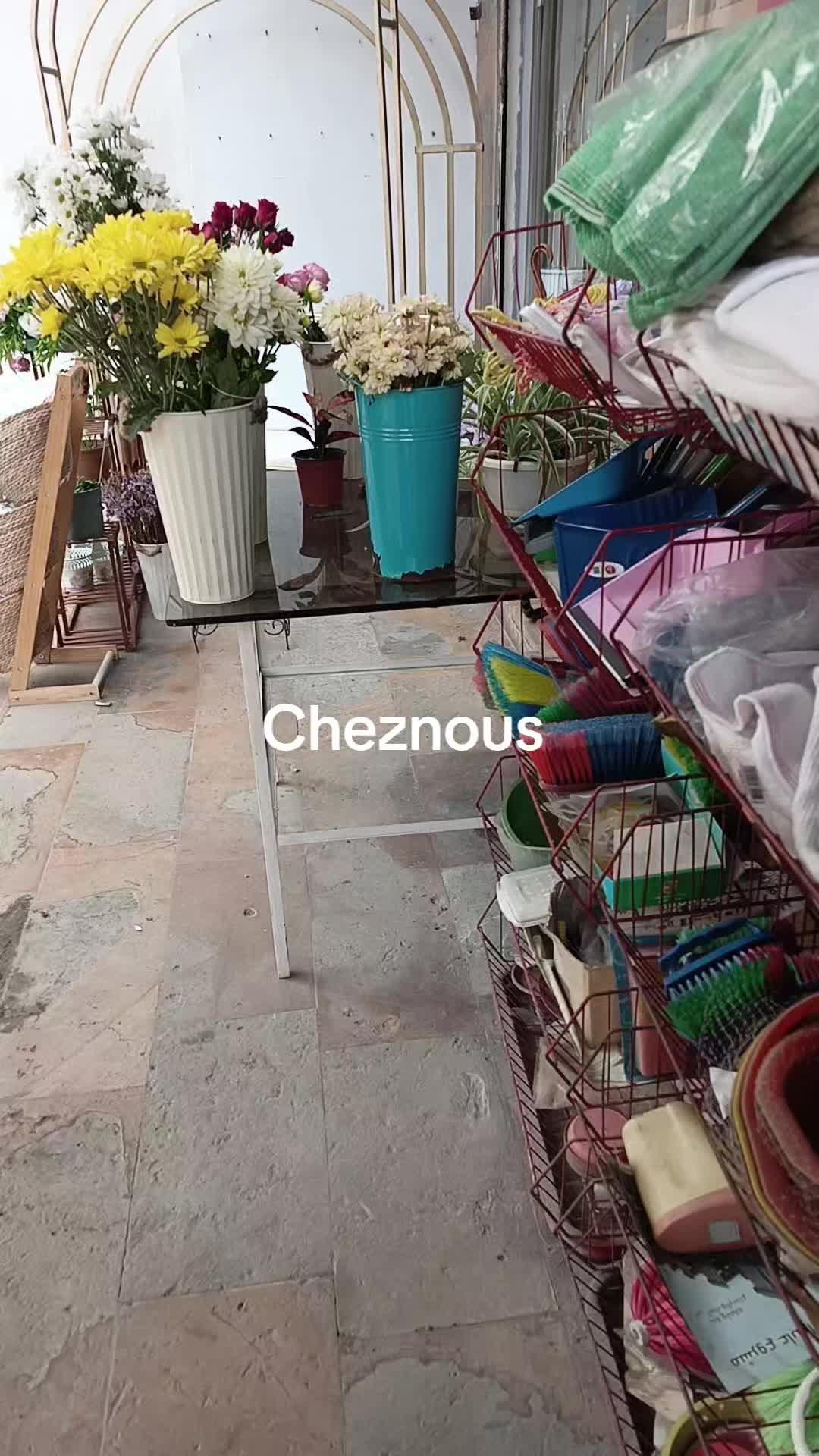 @chezi