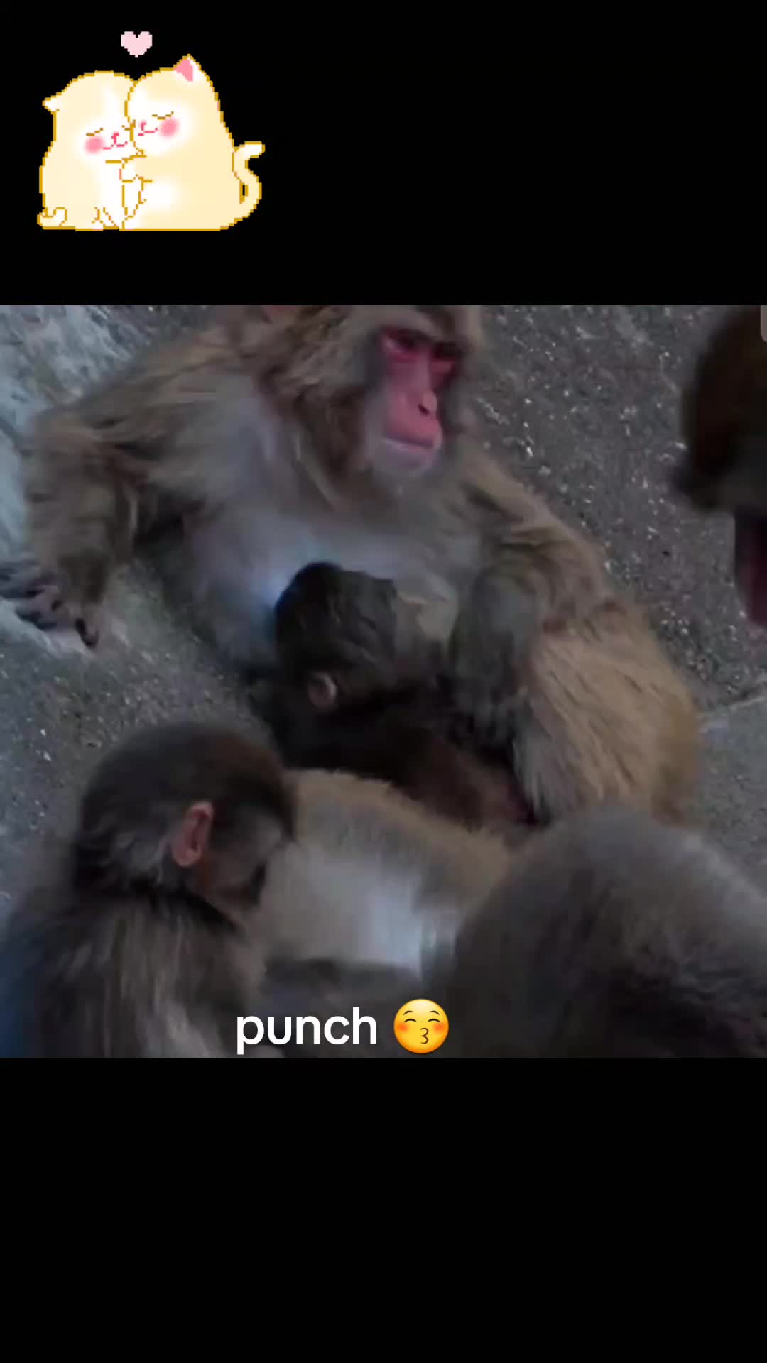 @Punch baby
