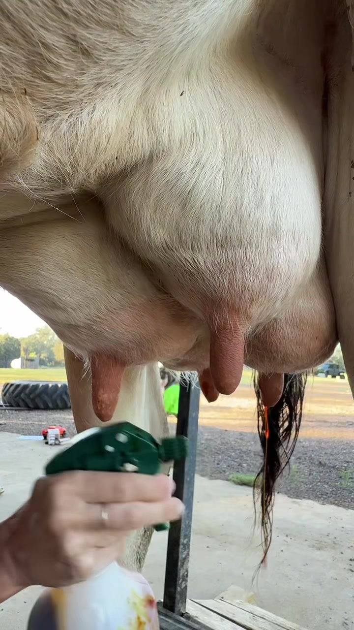 @Raisingfarmkids