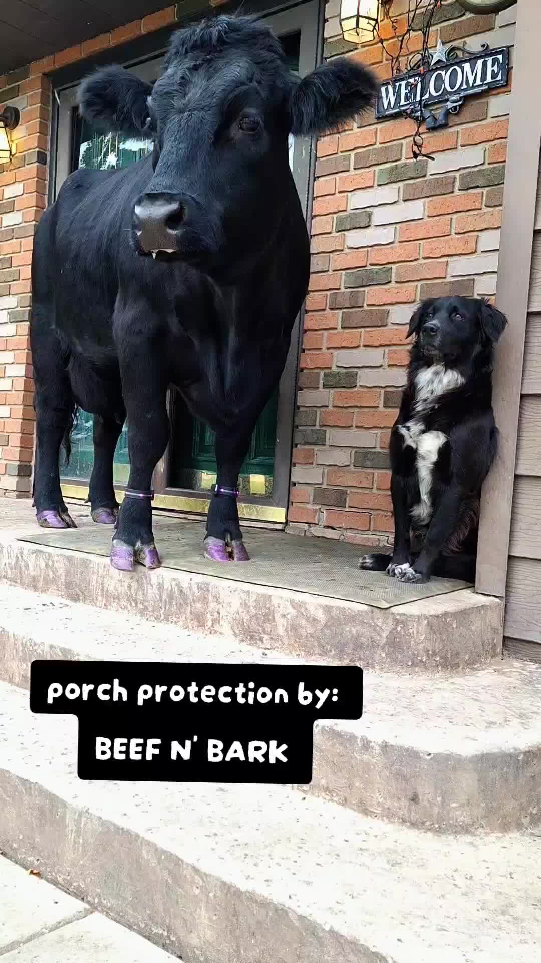 @Dakotafunnyfarm