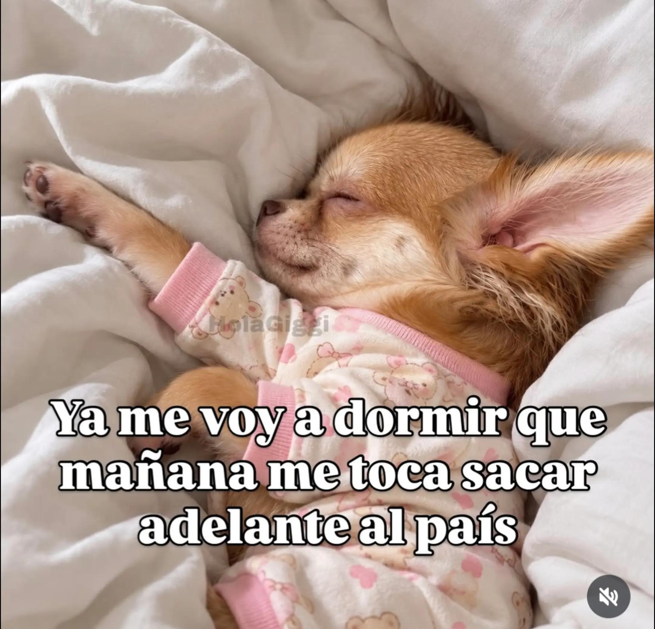 @ANA💙👑