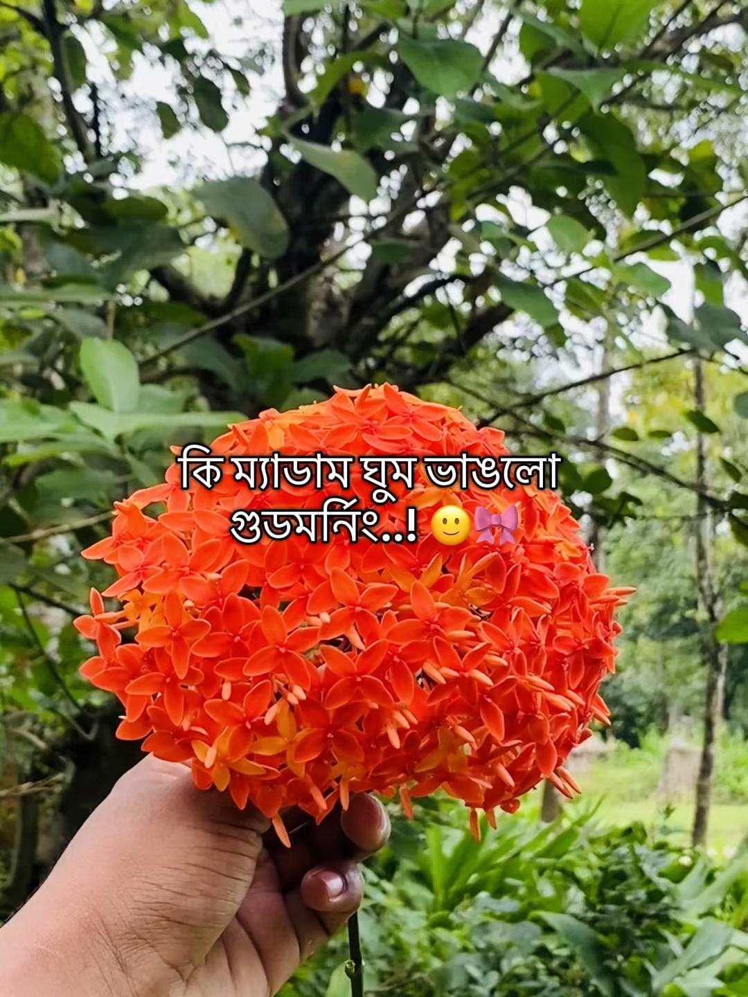 @টিক_টকি 🐸