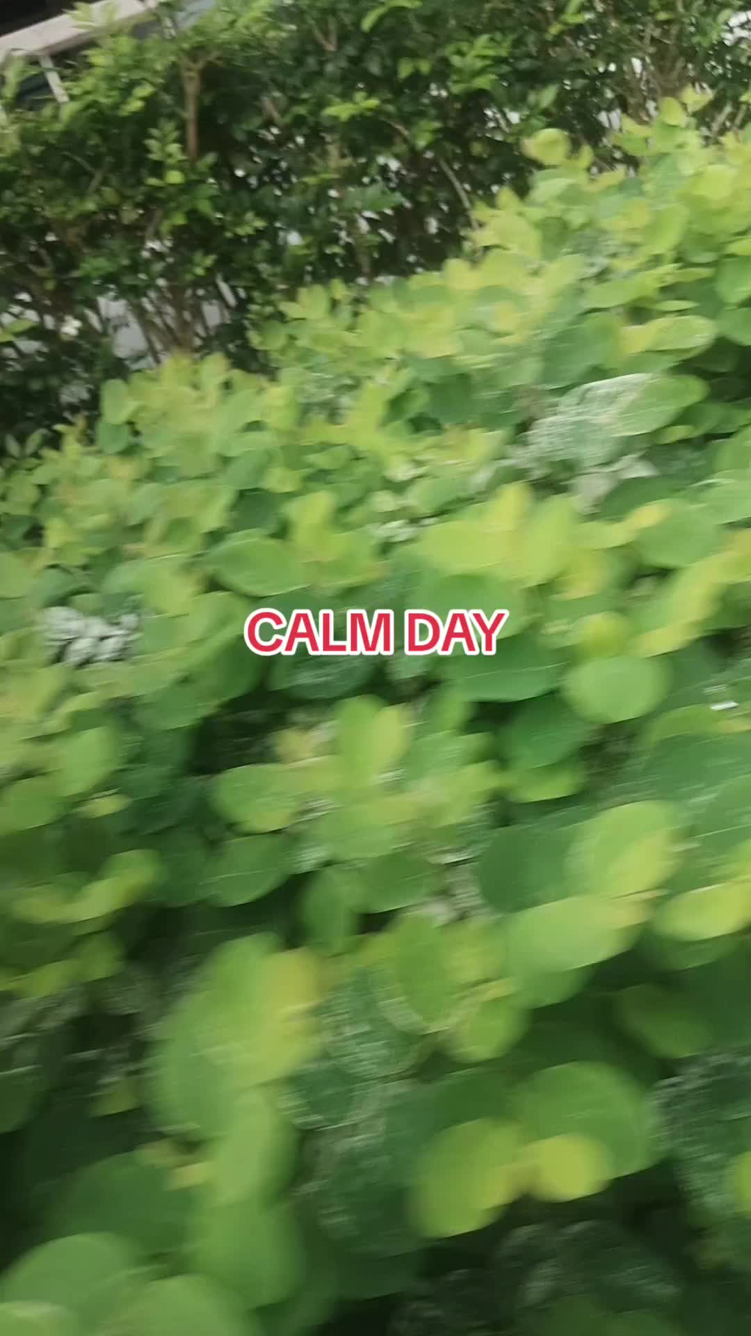 @SRI MAYA TRADING
