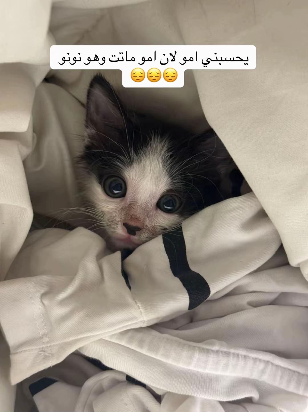 @Layan |تجارب وتغطيات جدة