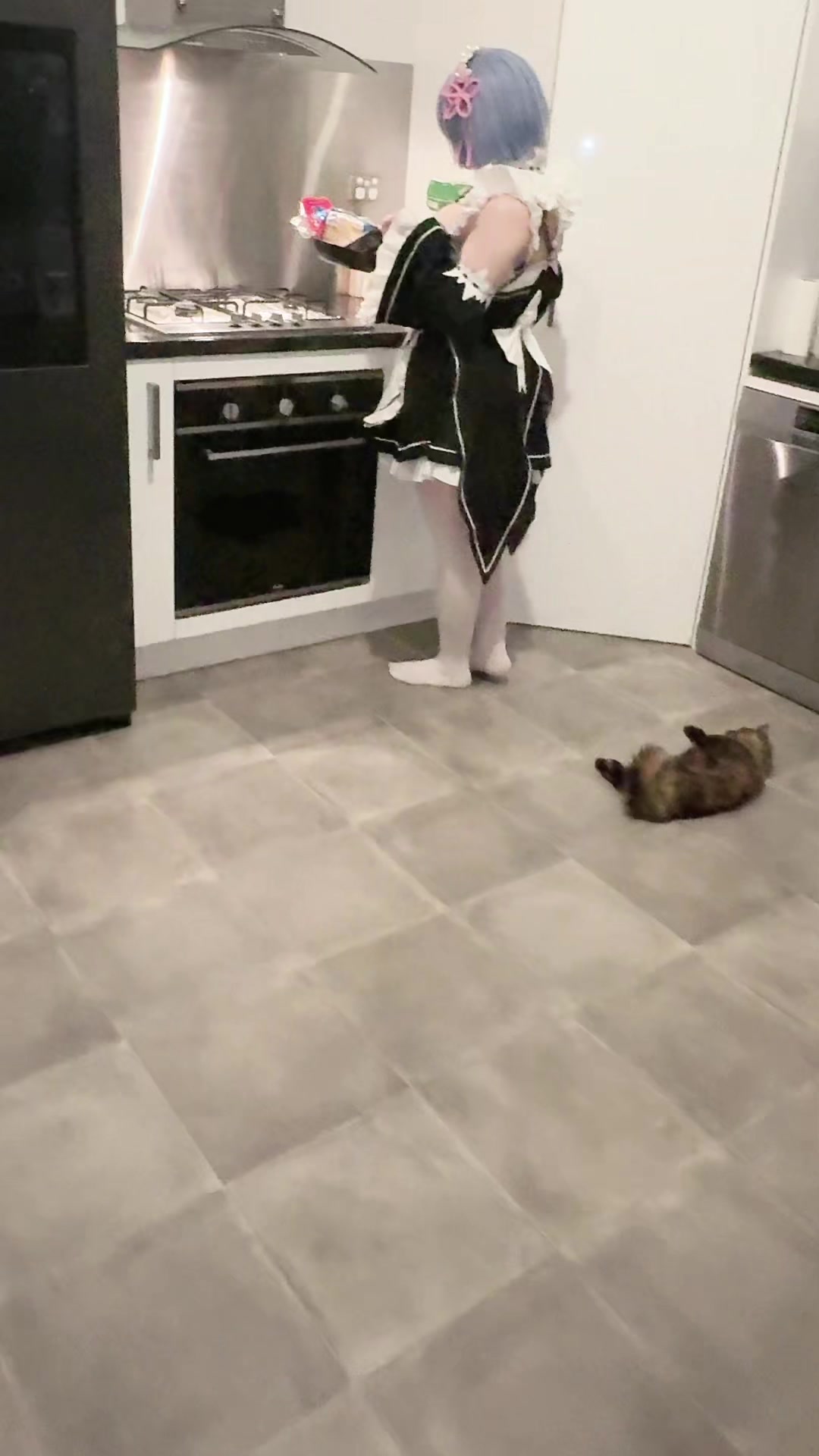 @Maya