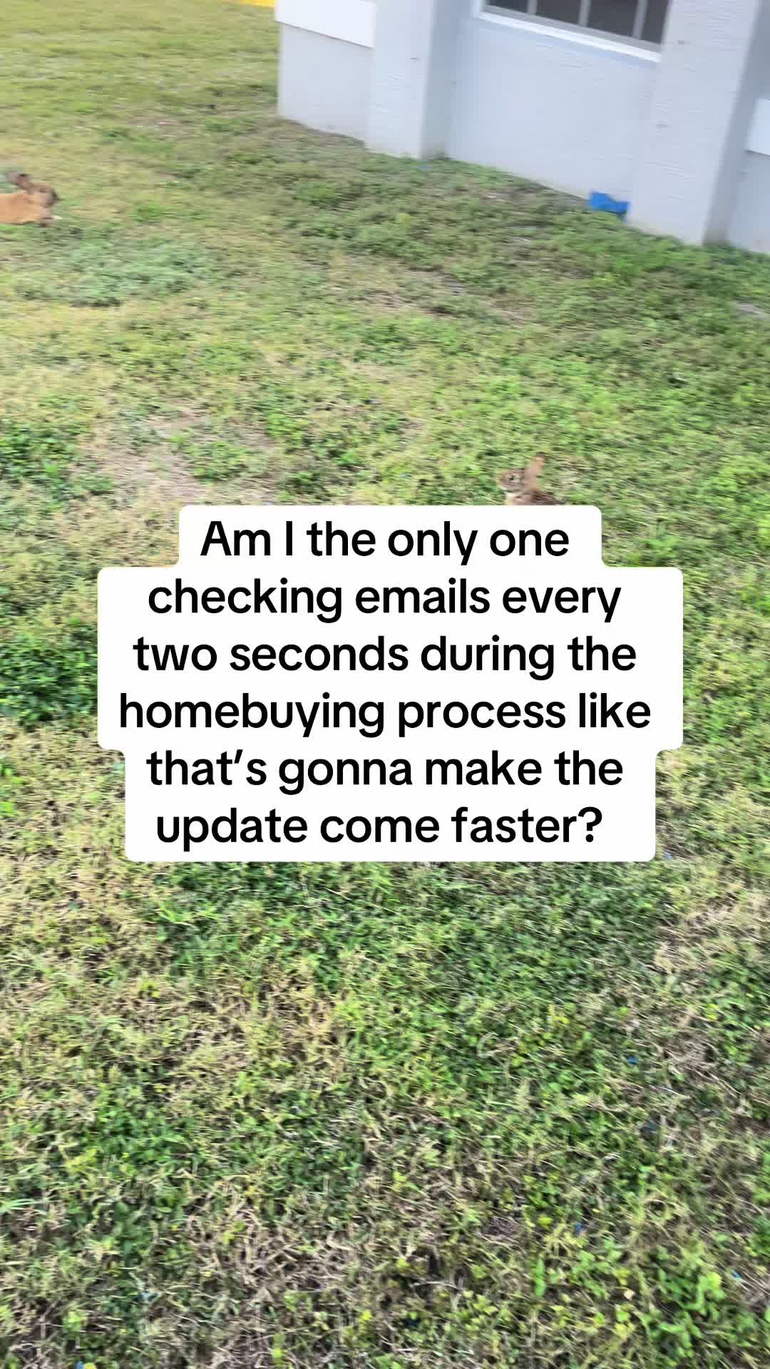 @PlaysOfAce239