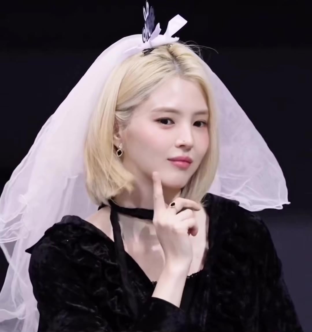 @Hansohee.xx