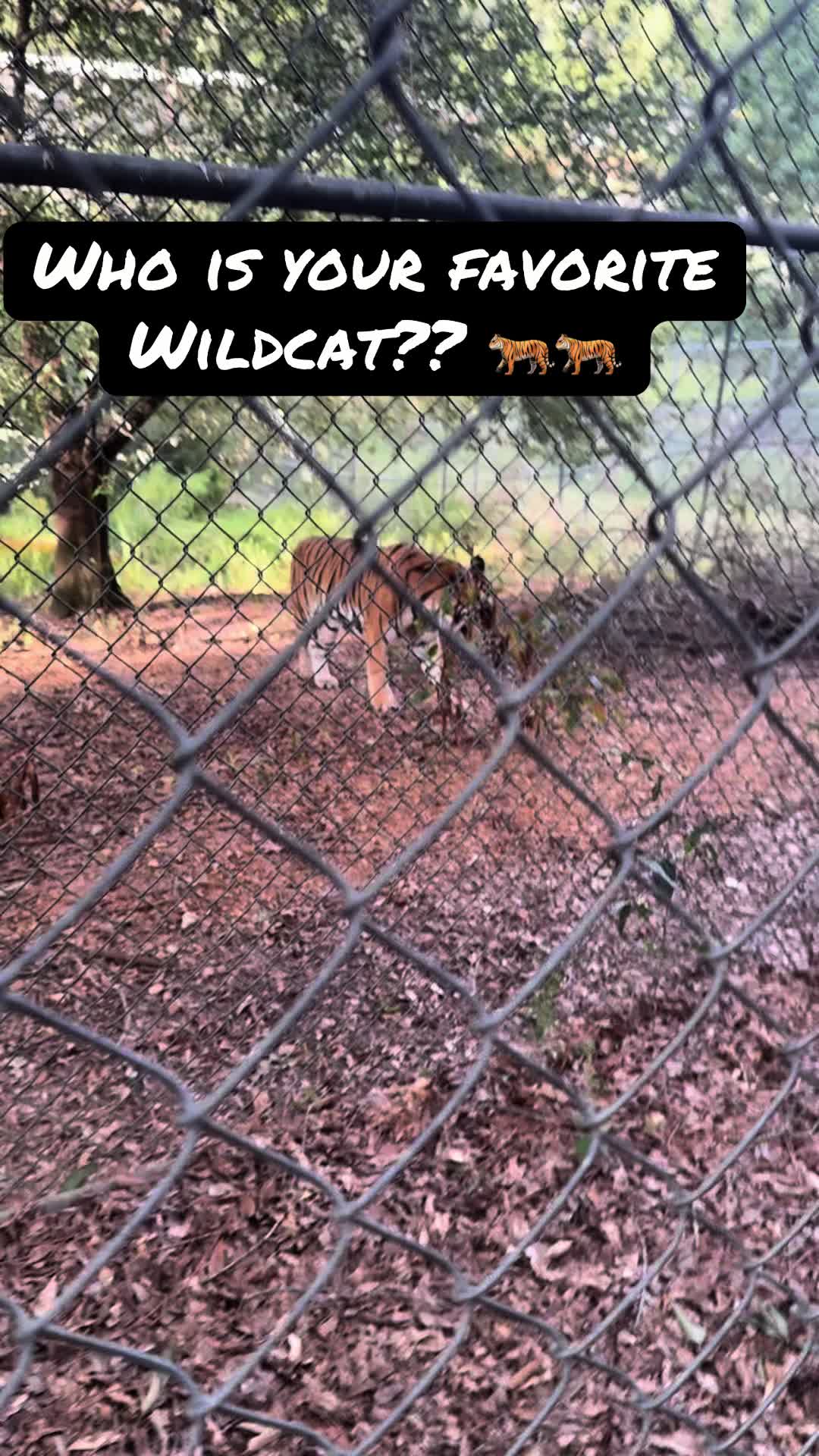 @Cedarhill Animal Sanctuary