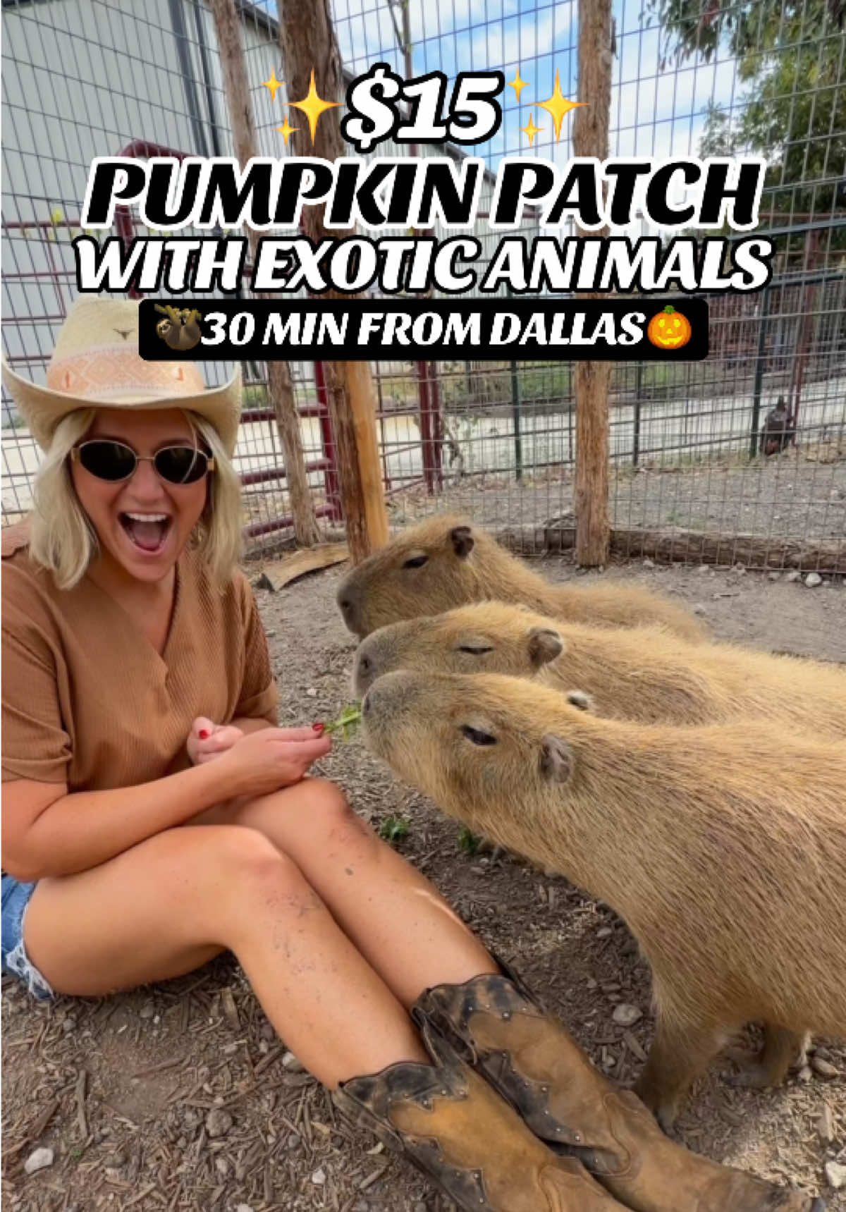 @Dallas Love List