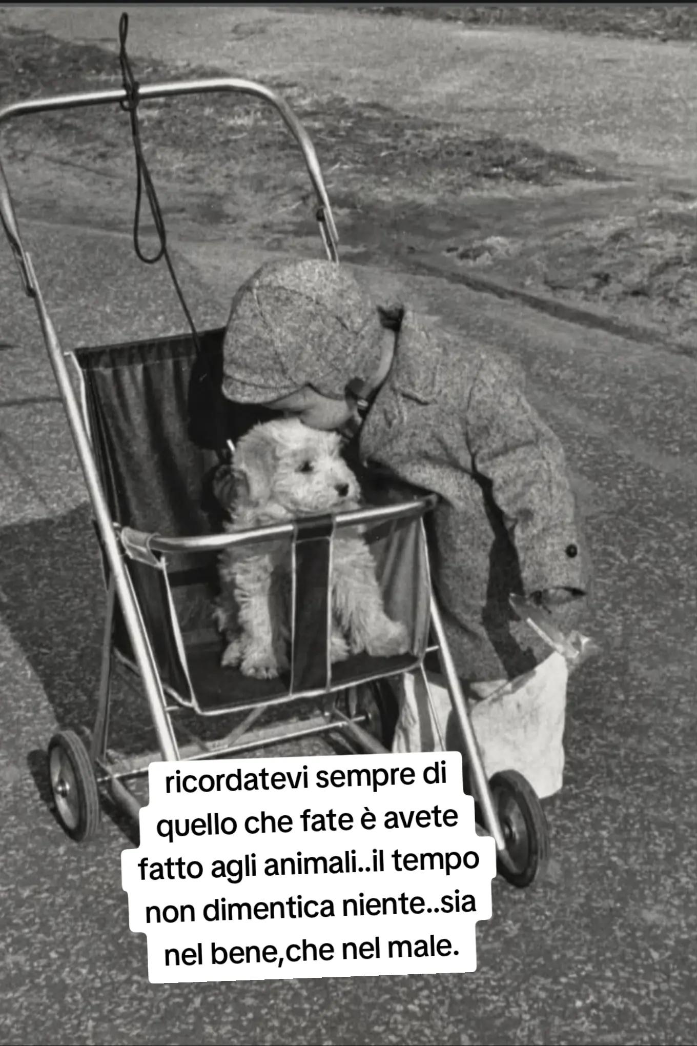 @ciropugliese379