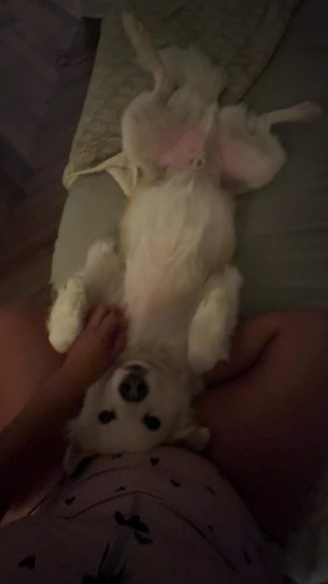 @ana ♡