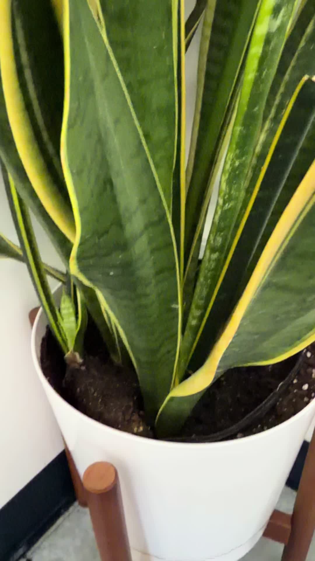 @boymom_U&E🩵