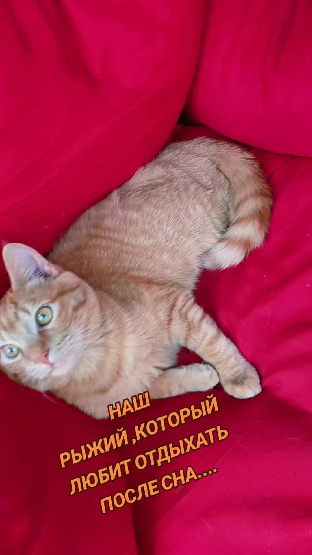 @ТАНЮШКА 🌺🌺