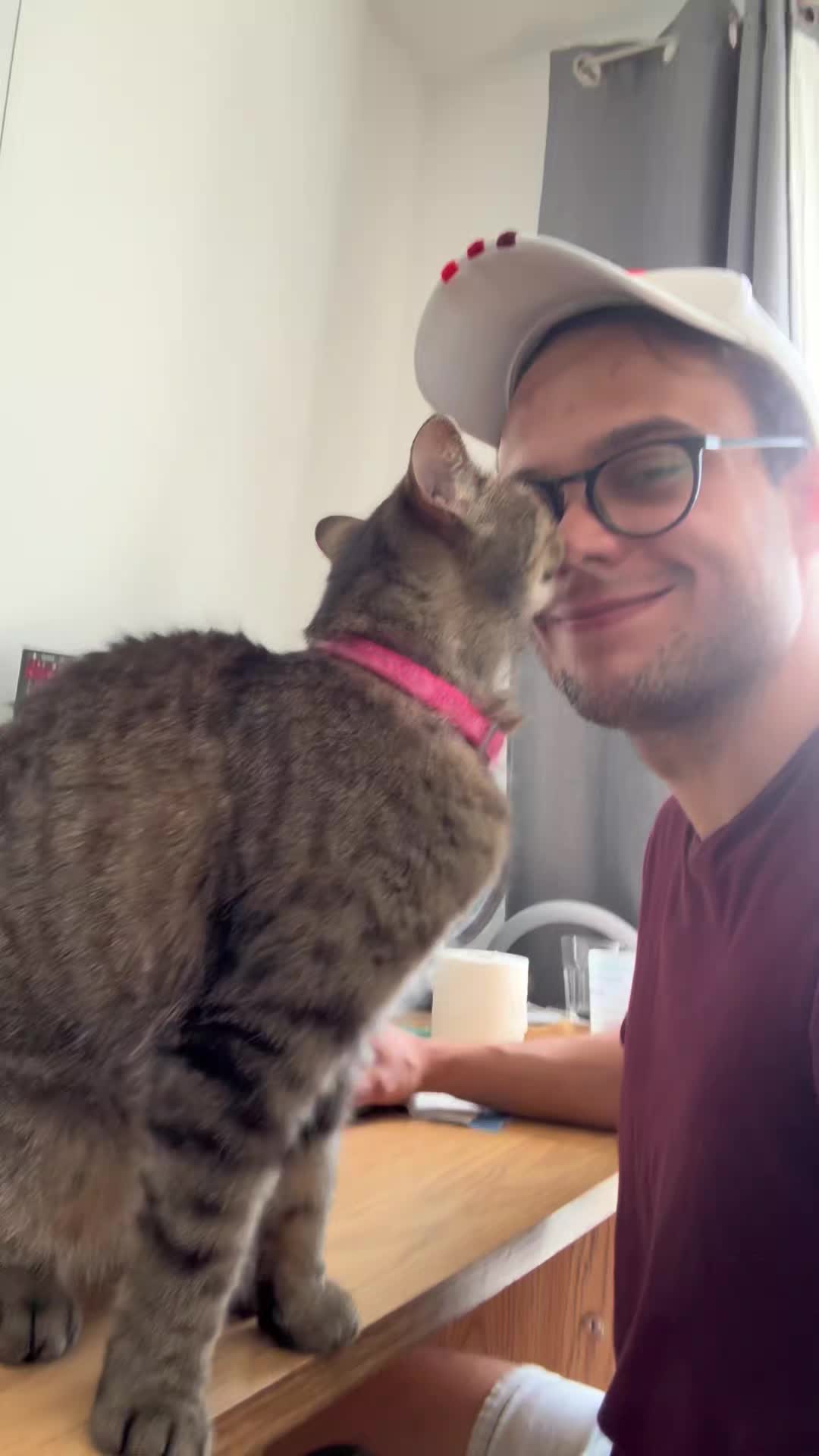 @Bellarda the cat