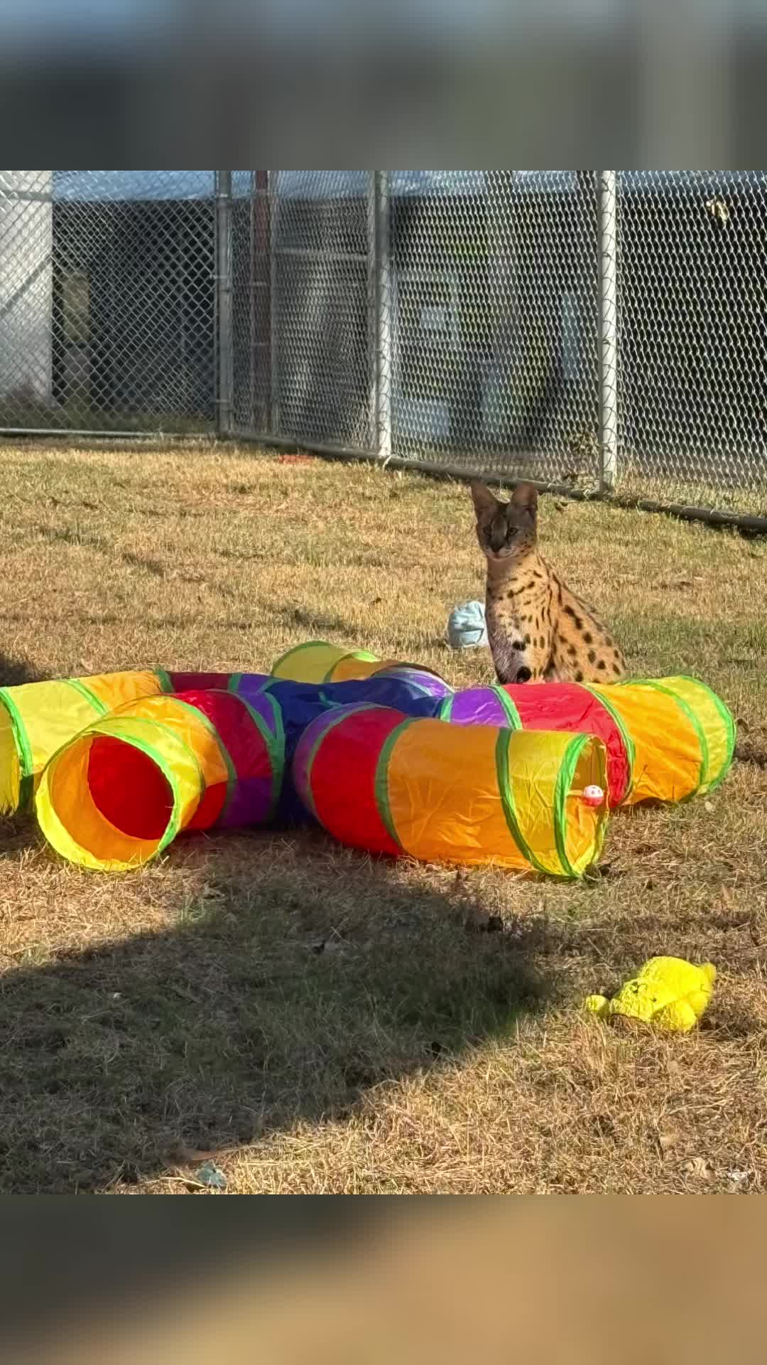 @Cedarhill Animal Sanctuary