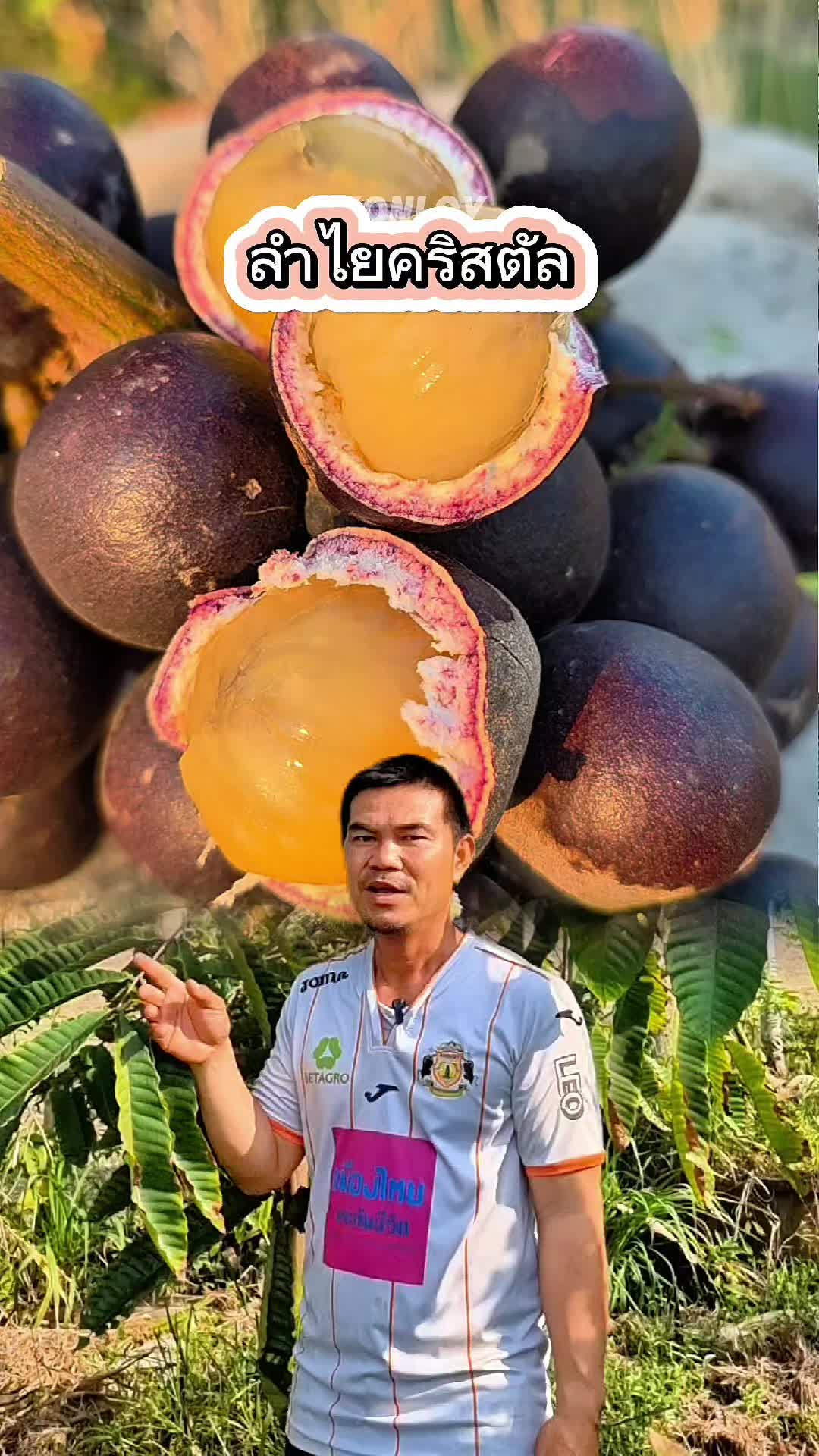 @Konloy