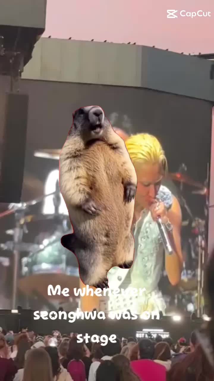 @lisaaaaaaa