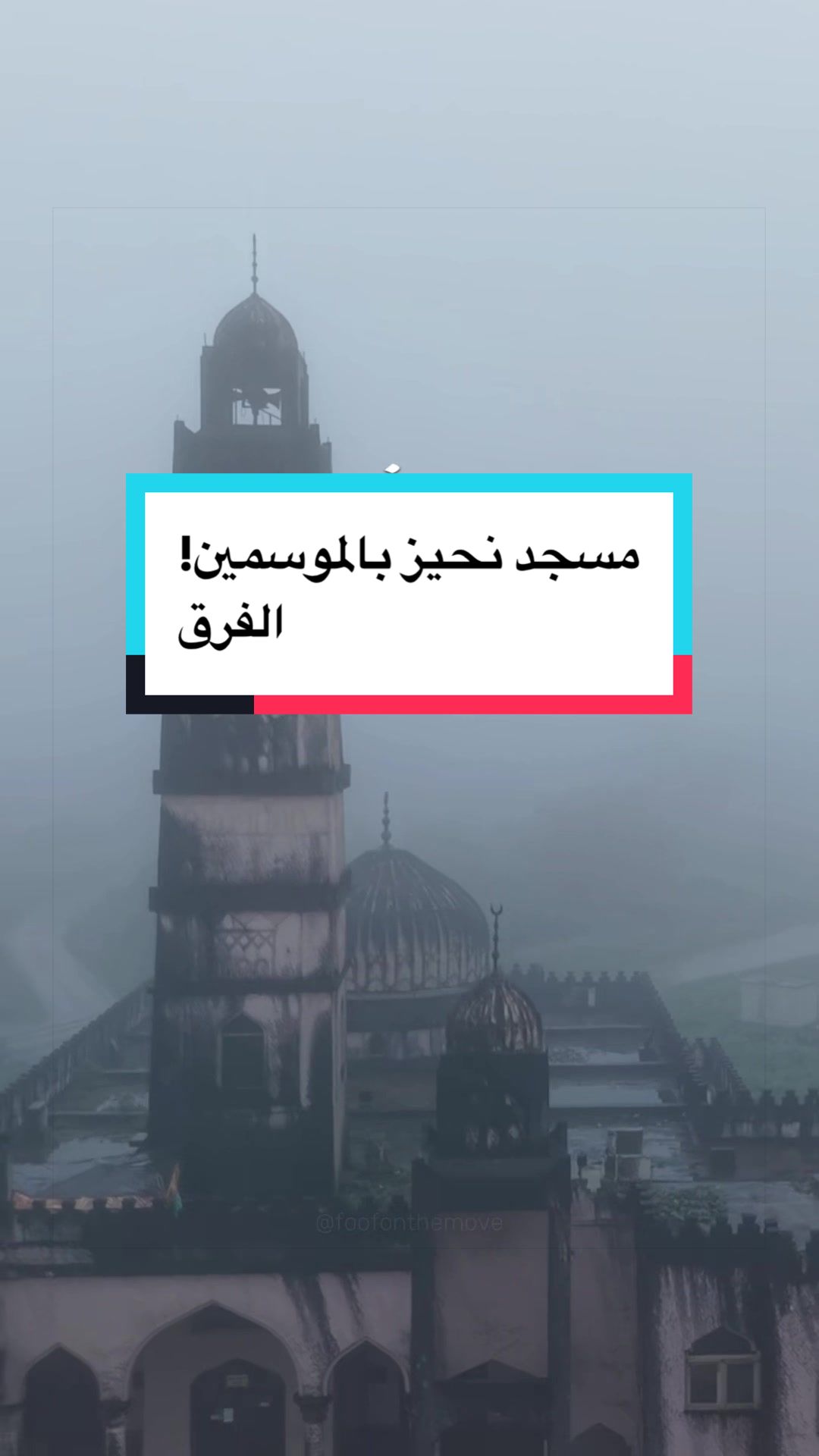 @Wafaa