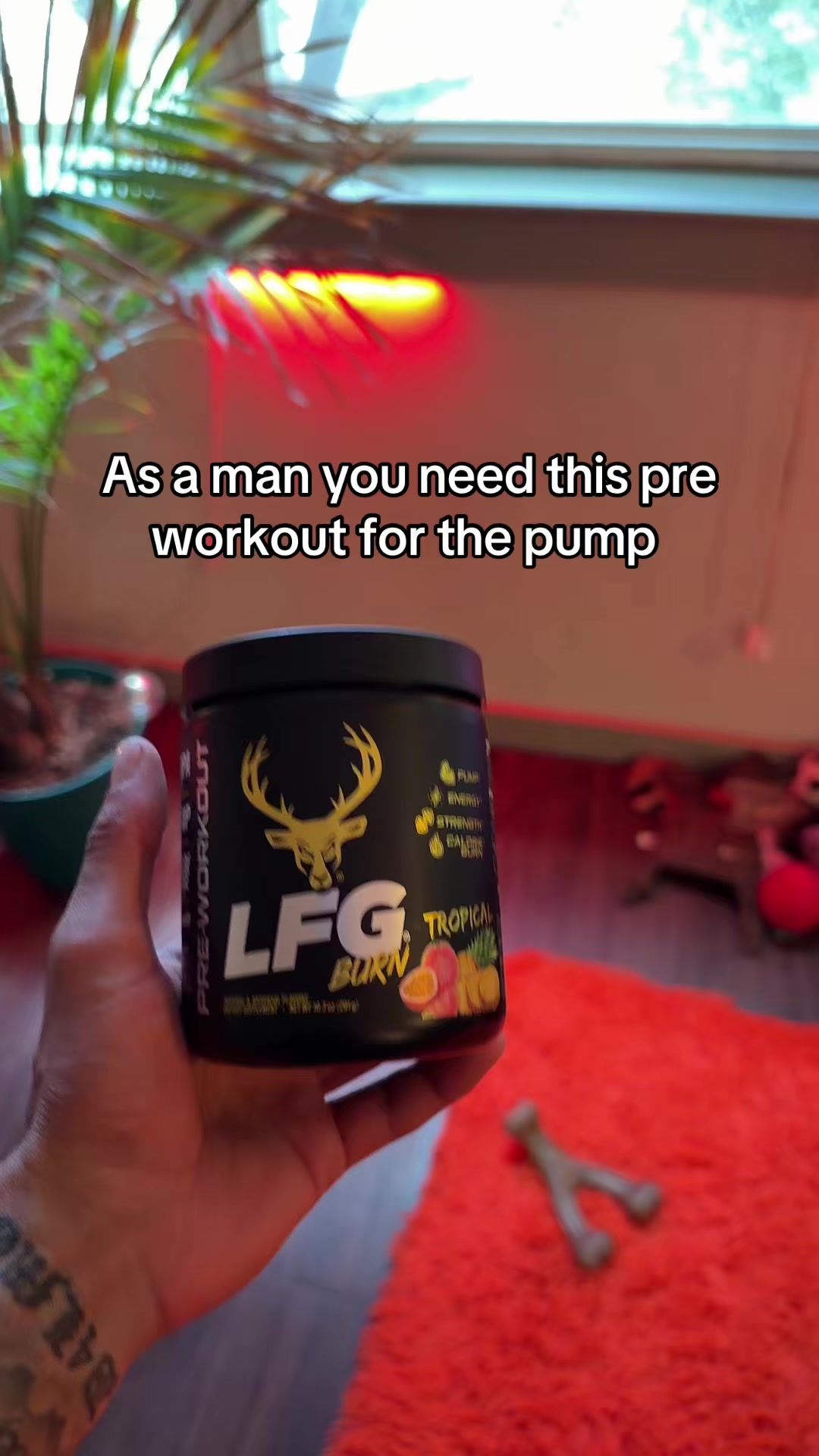 @DommD4L