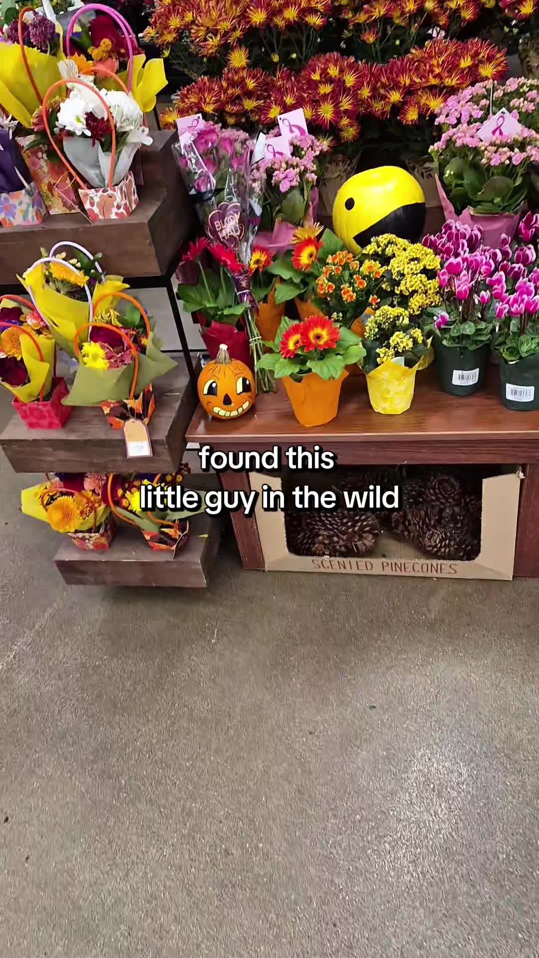 @J