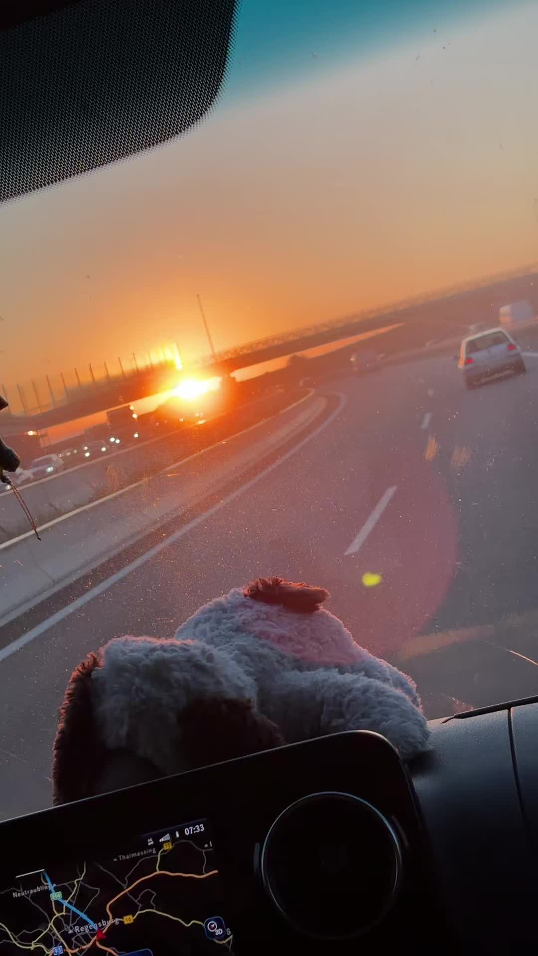 @Însurățelu Ionut Bog