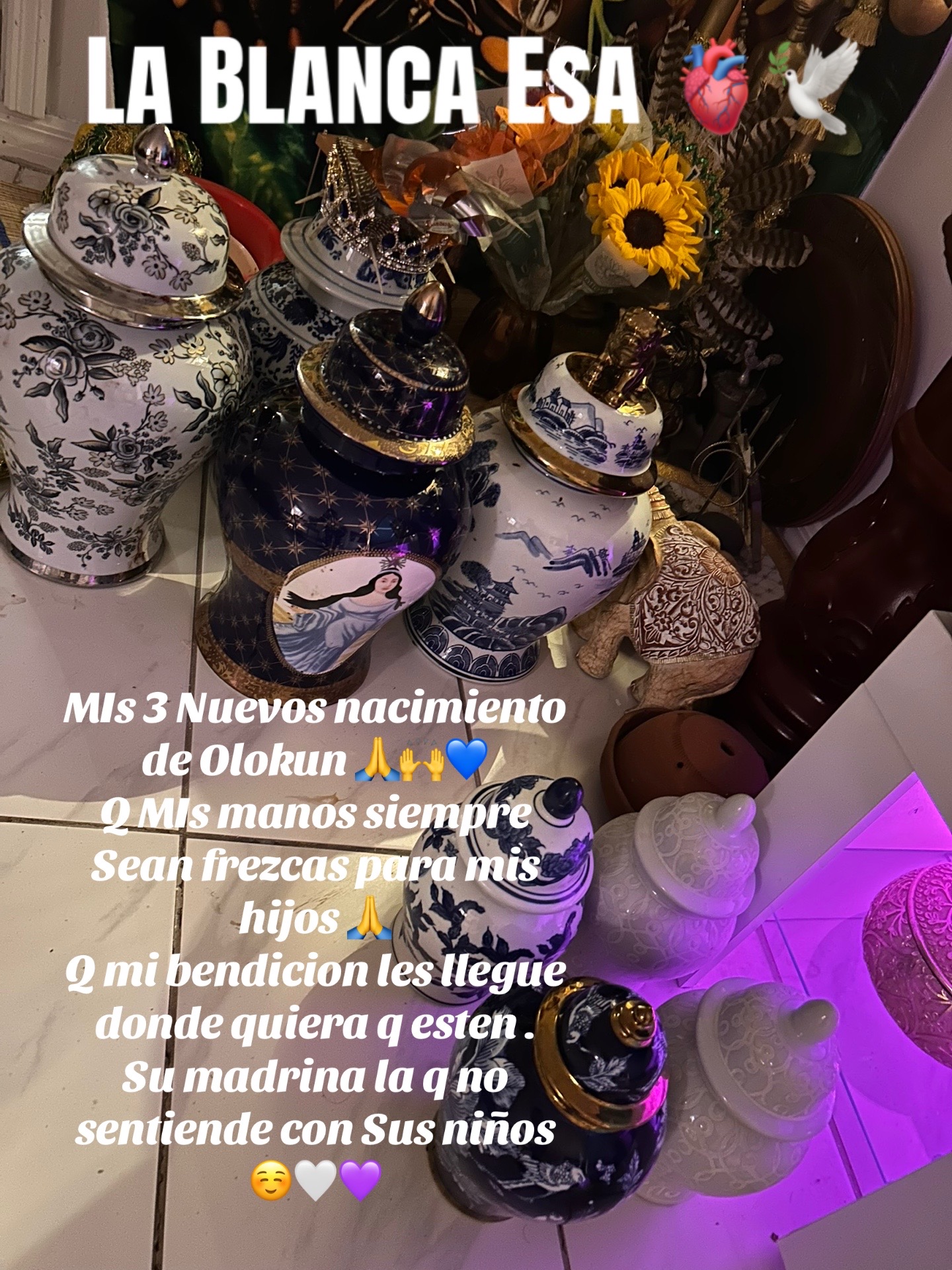 @Lacasadeeggun🤍🖤