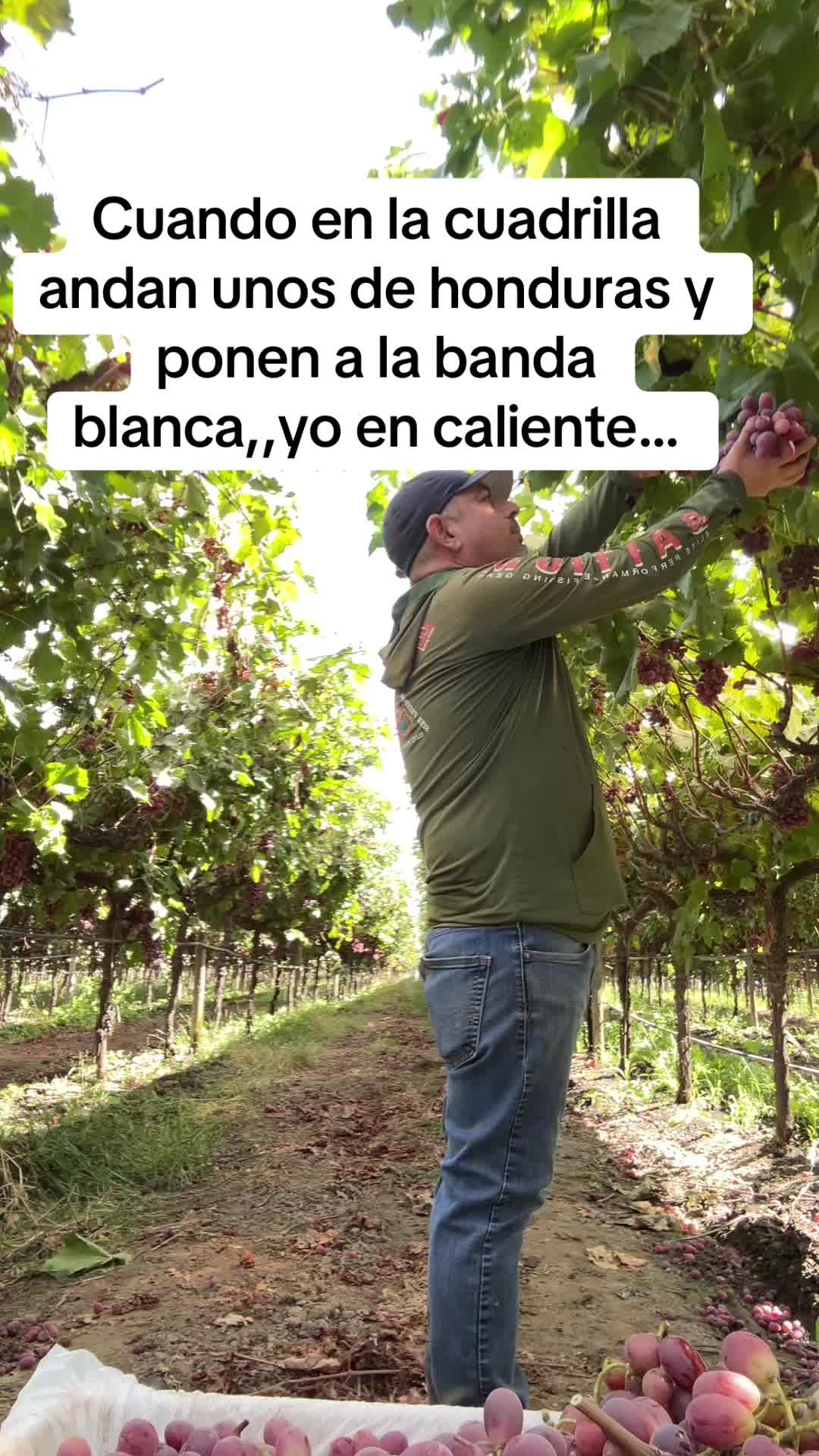 @Gustavo