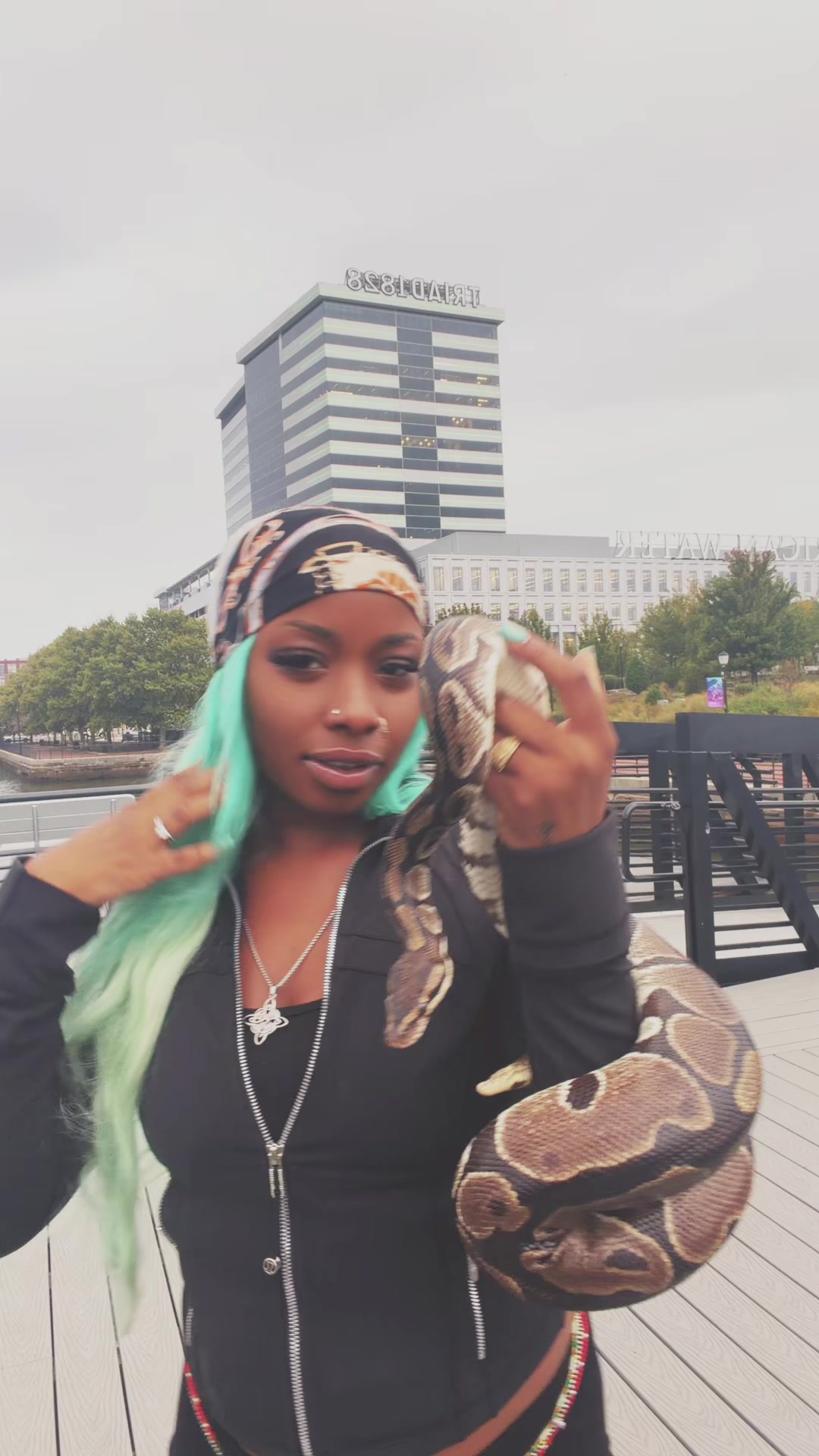 @Cashnasty