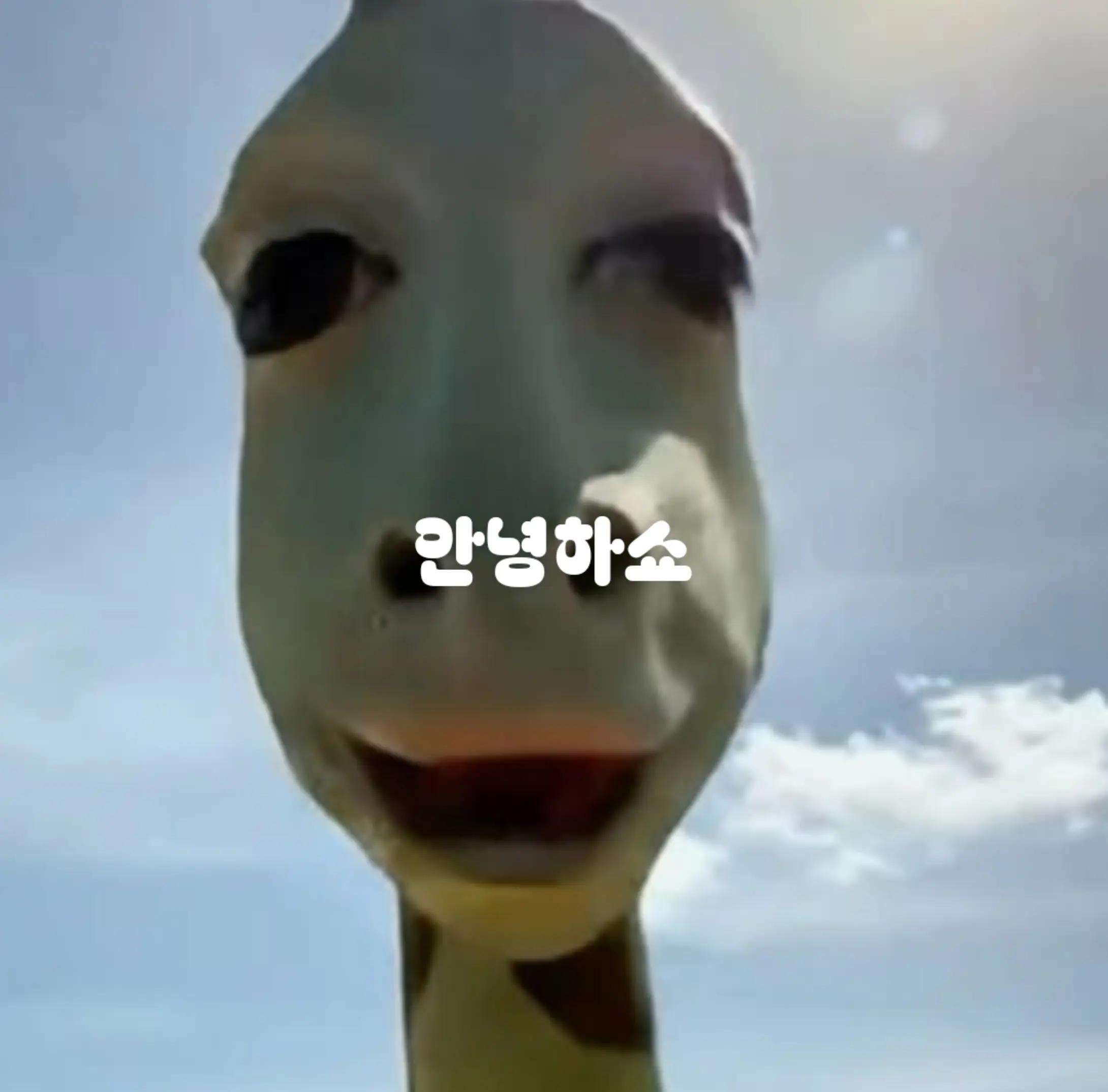 @셋카키 유키(자캐)