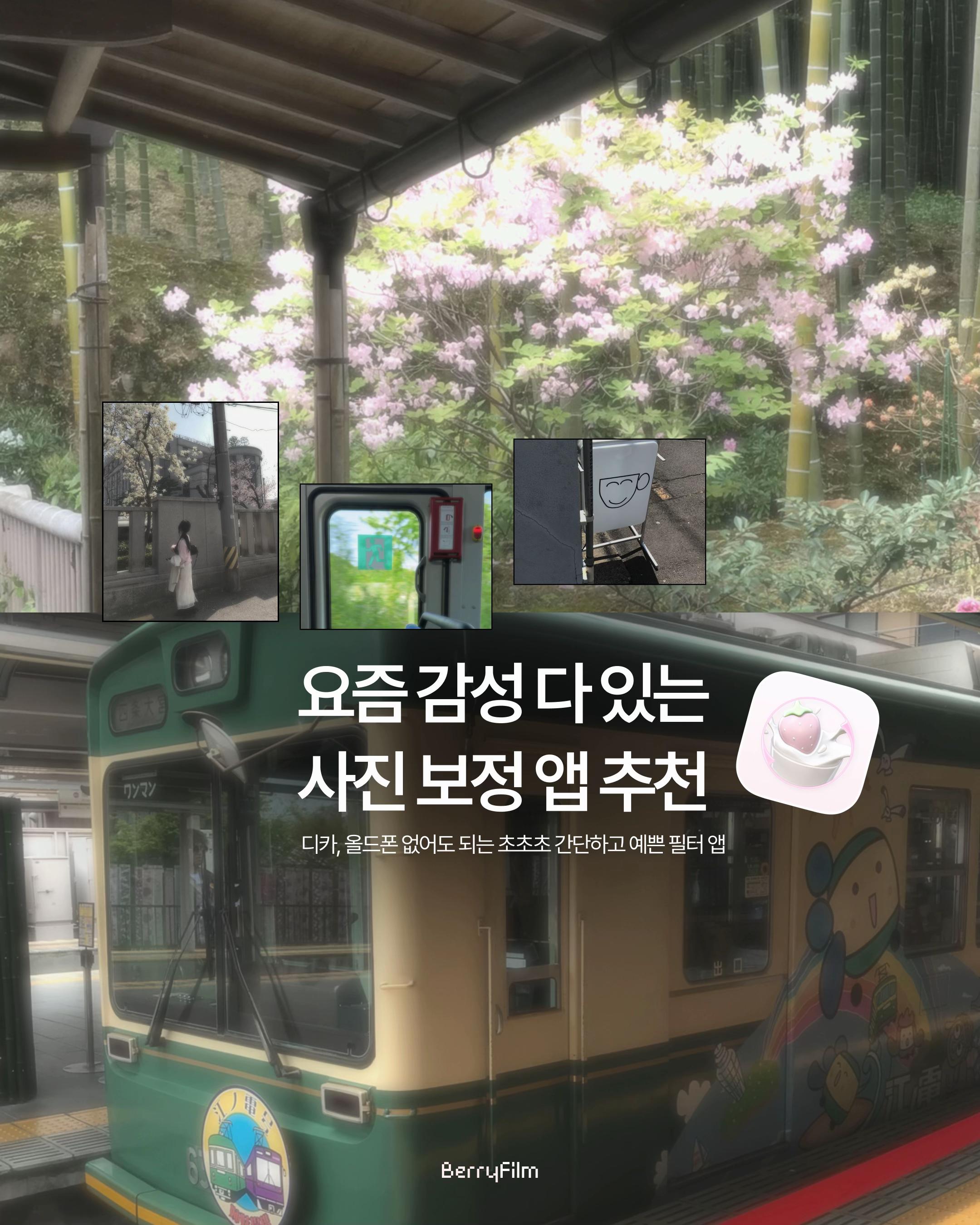 @베리 ベリ🪄