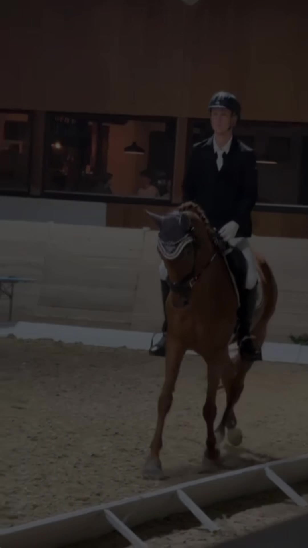 @diaryofequestrian