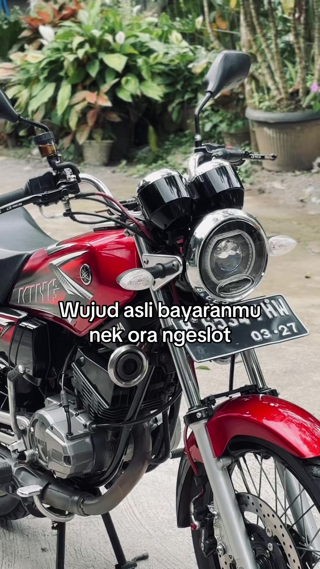 @E🕊️