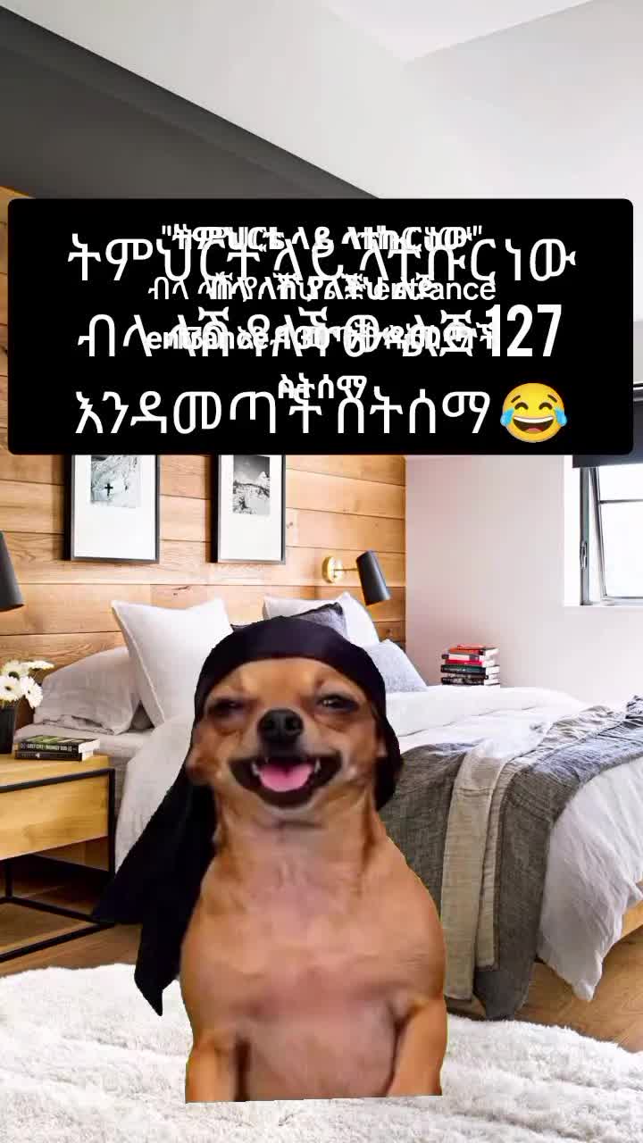 @ዳኒ / Dani