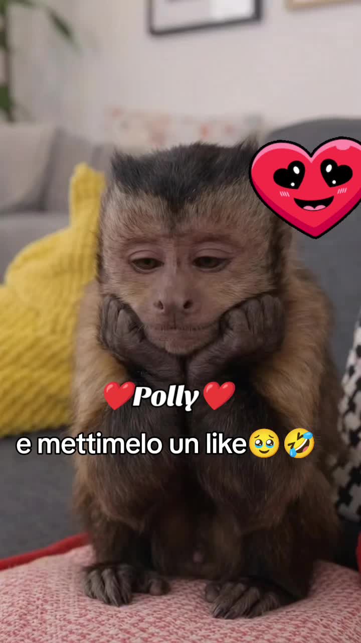@&hearts;️ POLLY &hearts;️