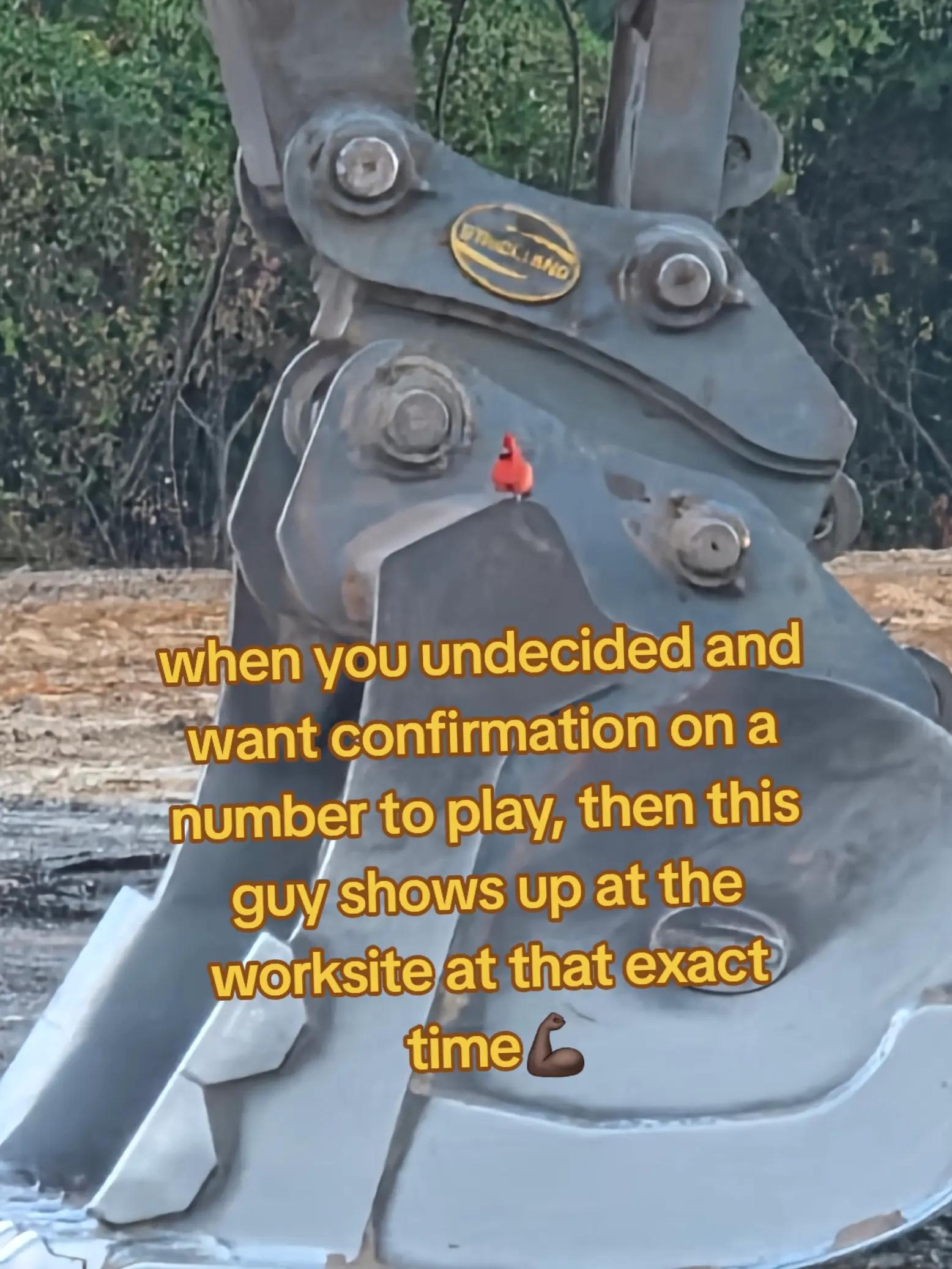 @That Flyy Guy