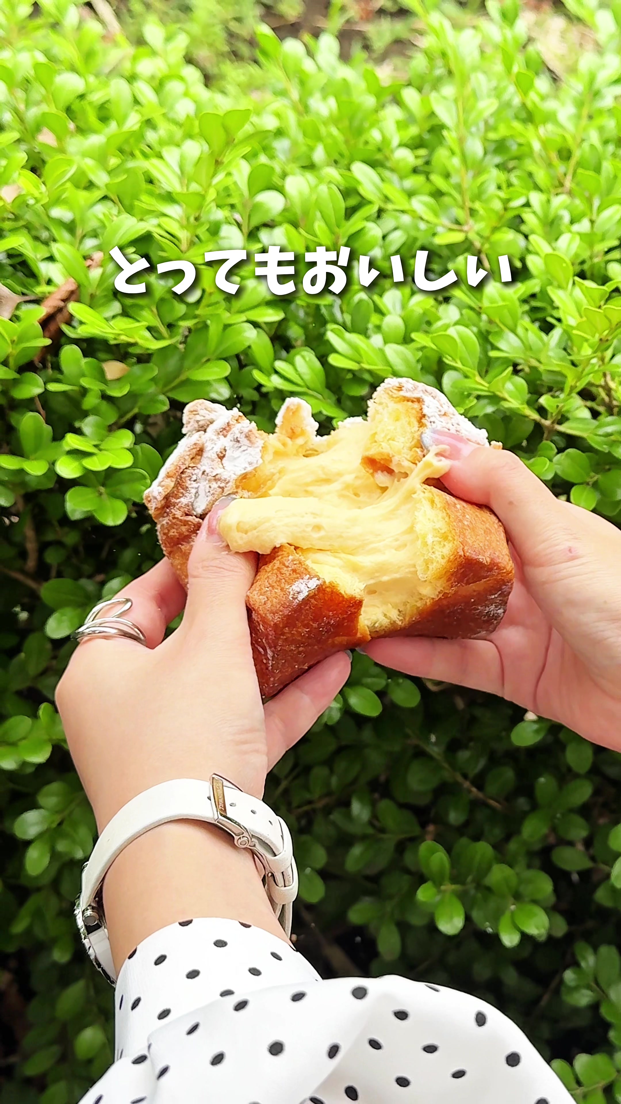 @埼玉うまいグルメ