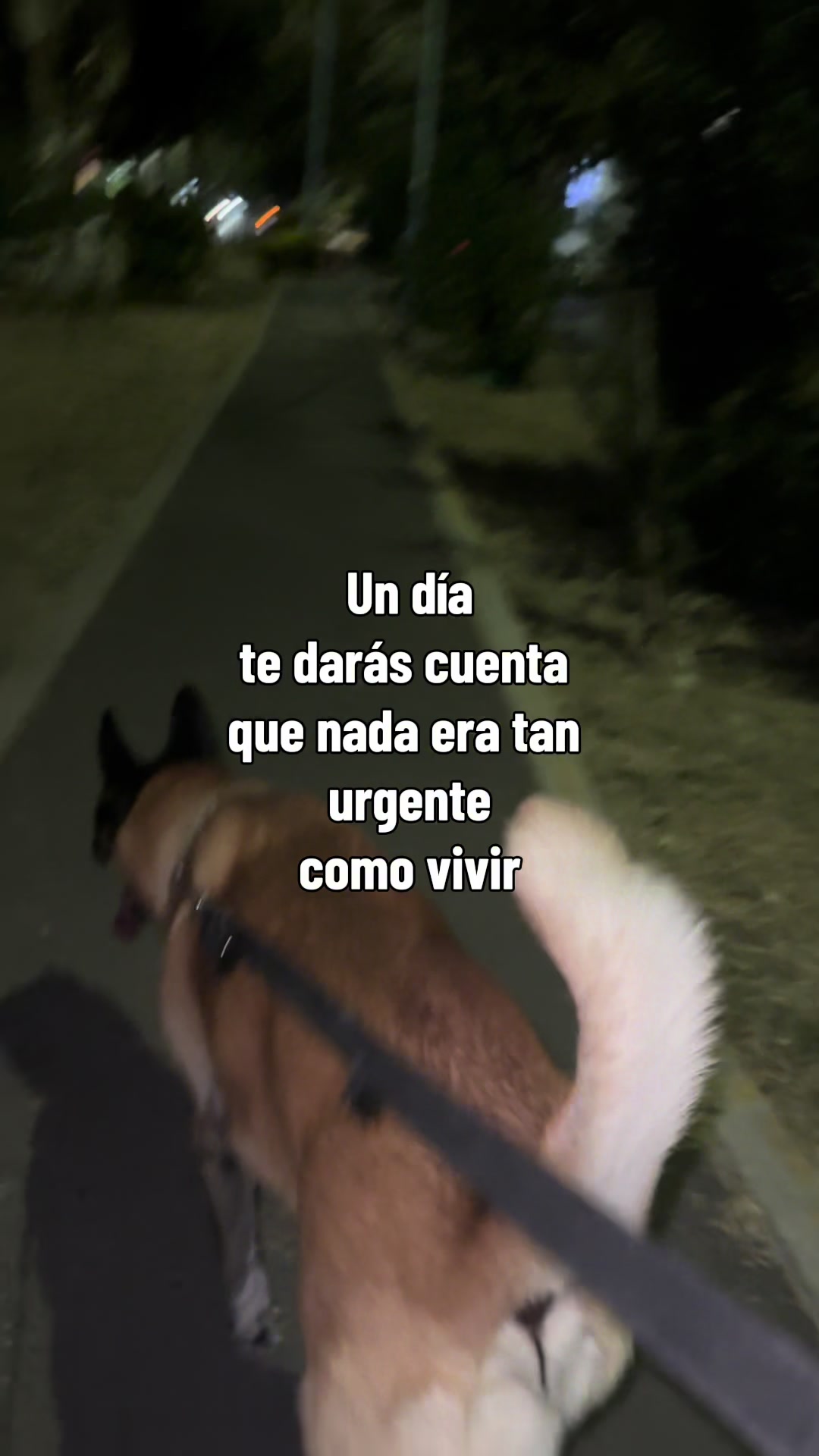 @psicologopp1