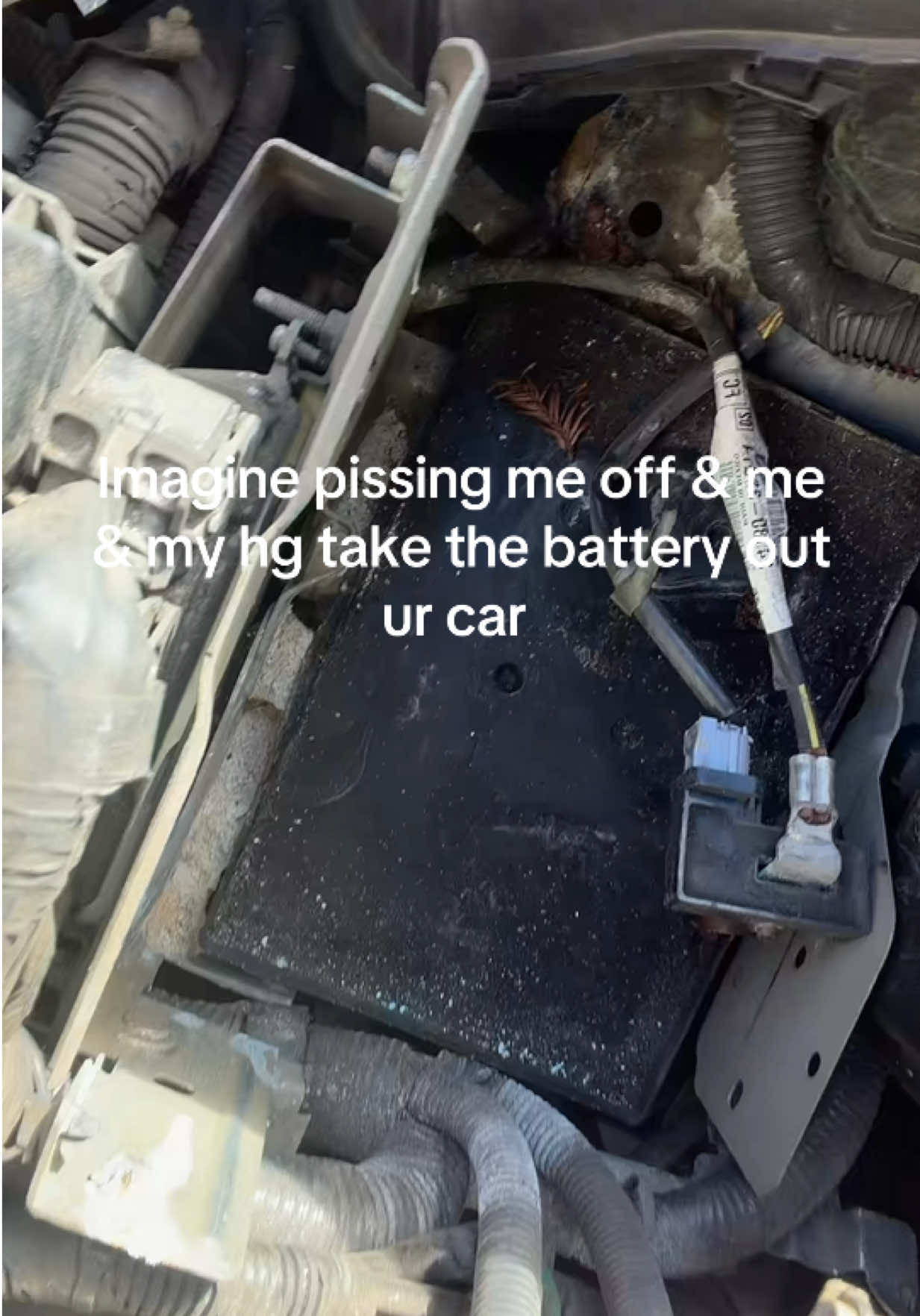 @nat